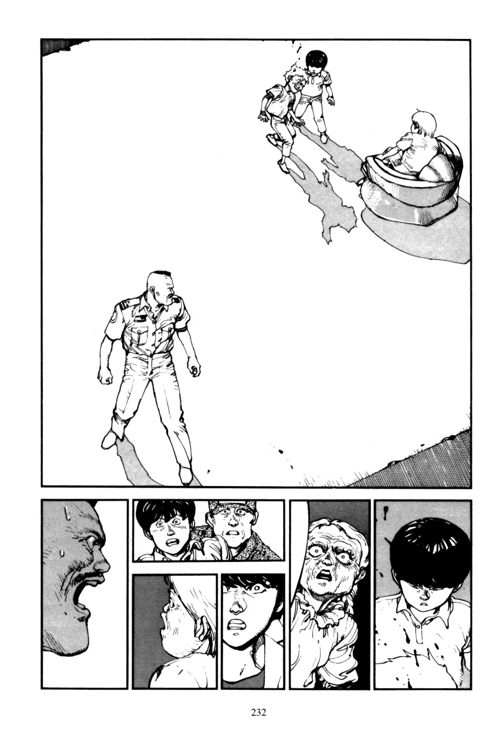 Page 231