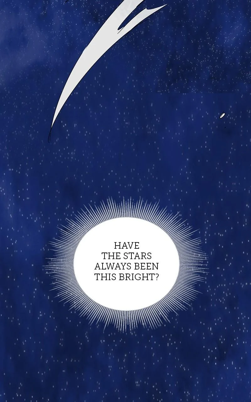 Page 233