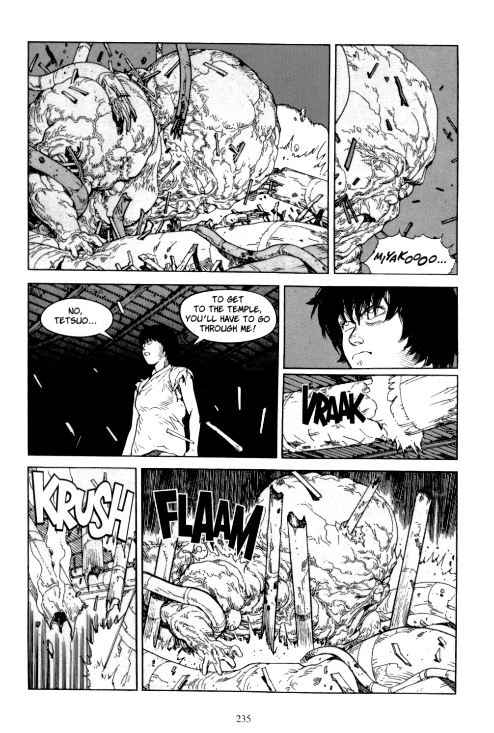 Page 233
