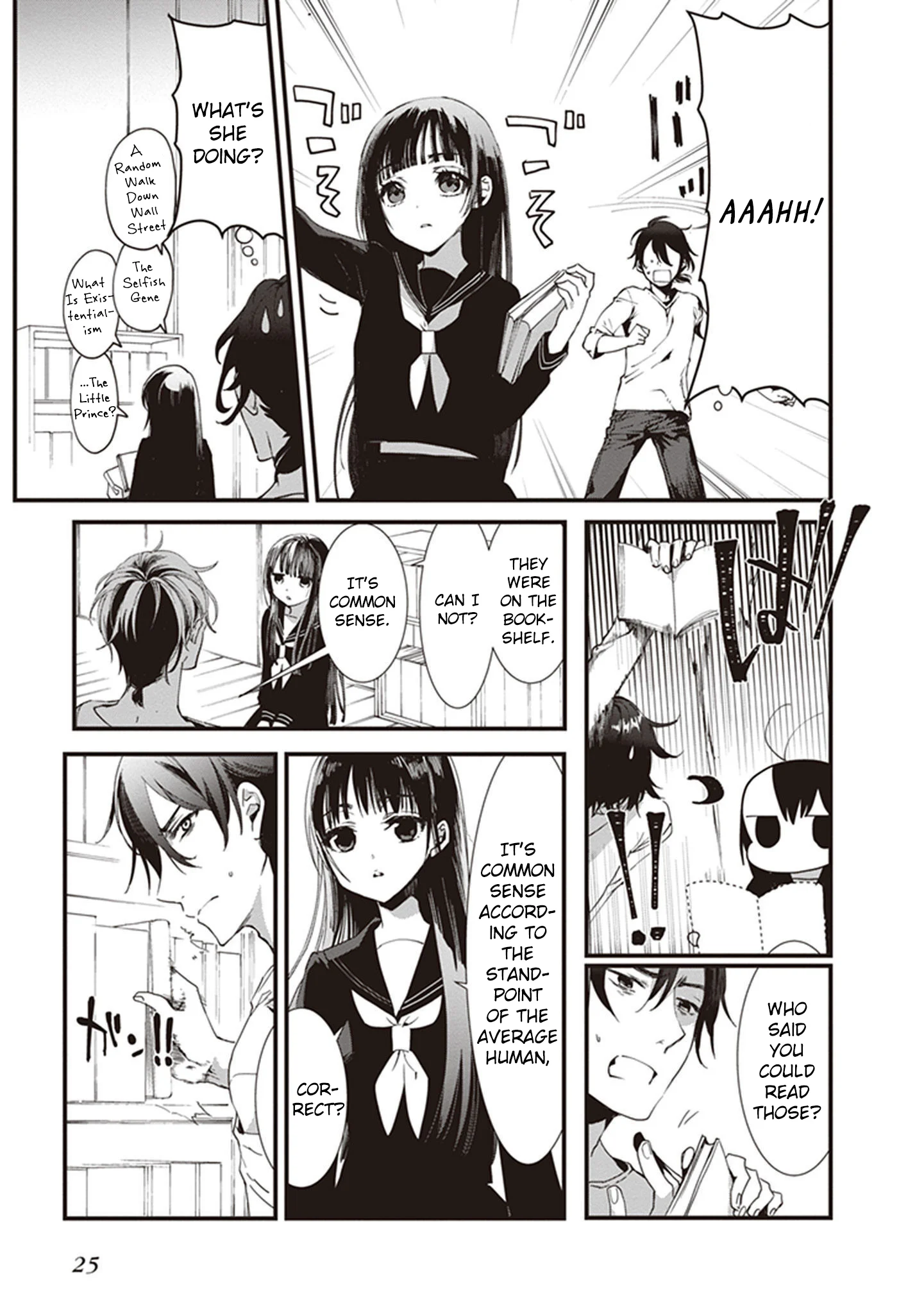 Page 25