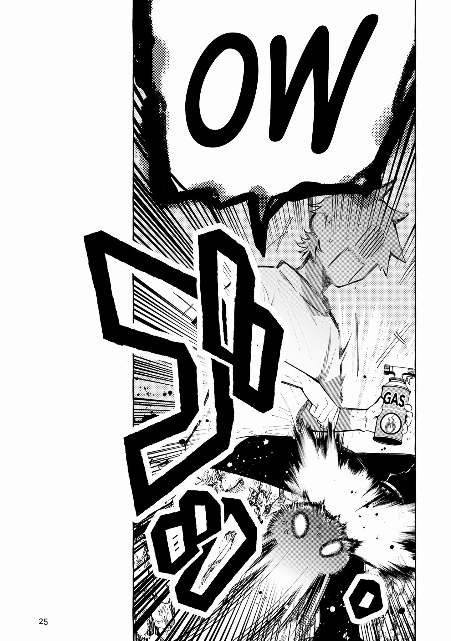 Page 25