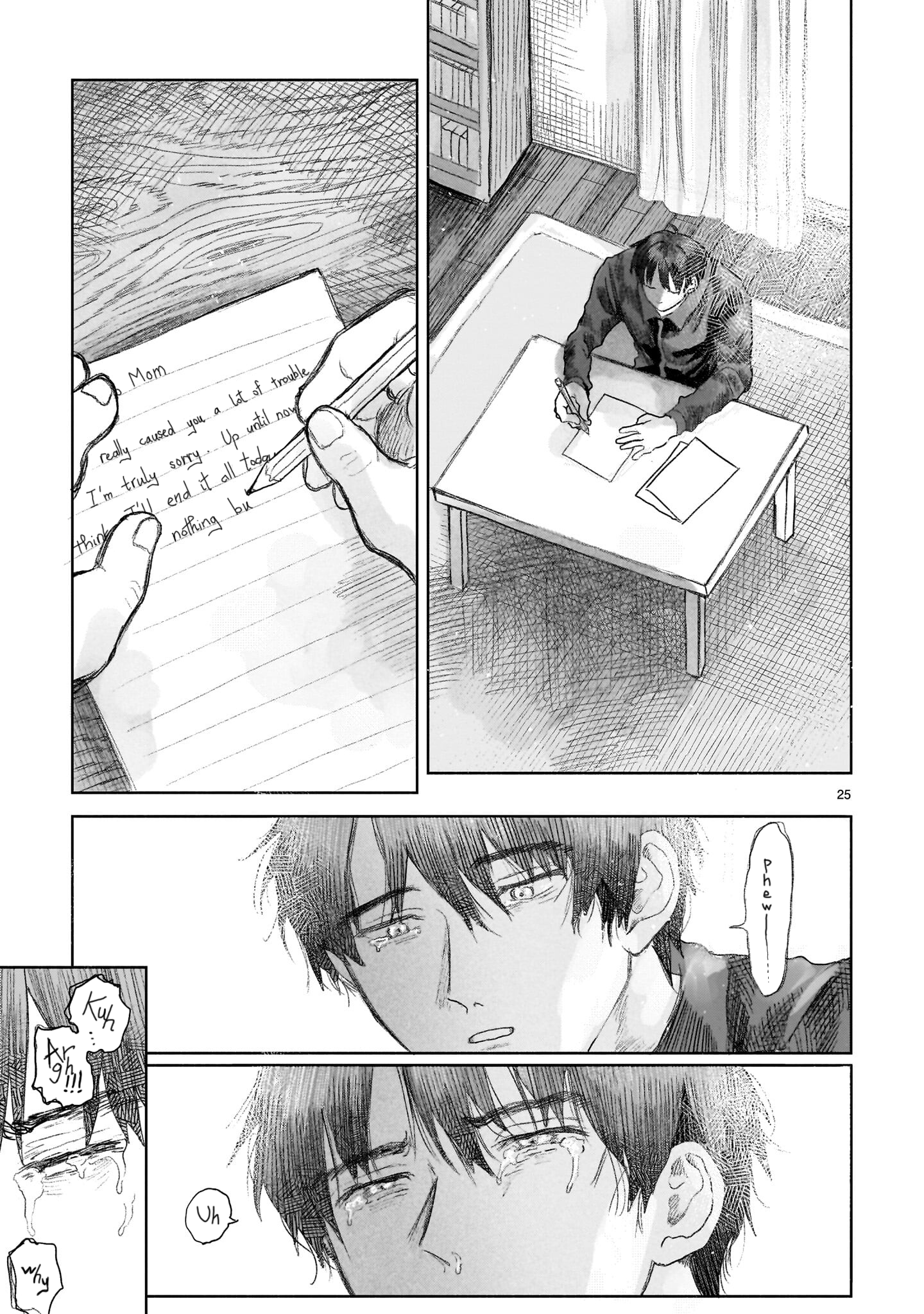 Page 25