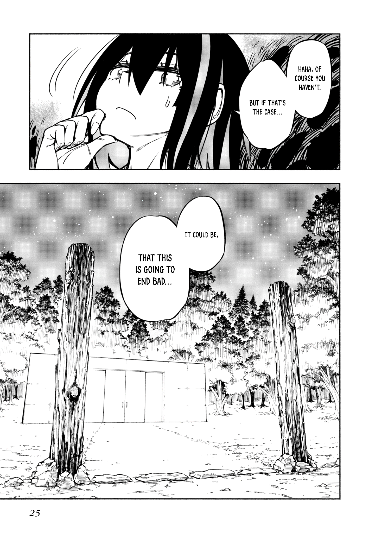 Page 25