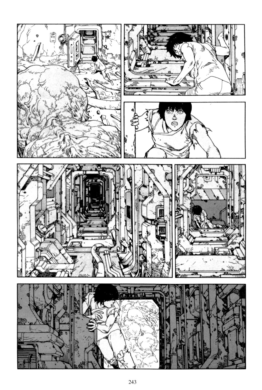 Page 241