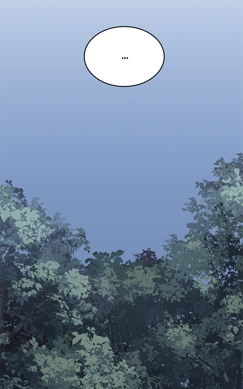 Page 242