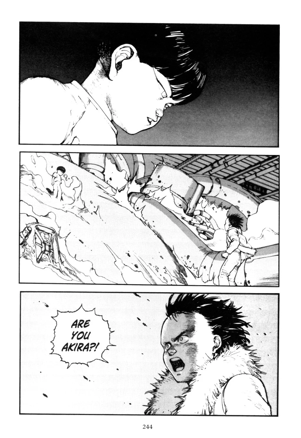 Page 242