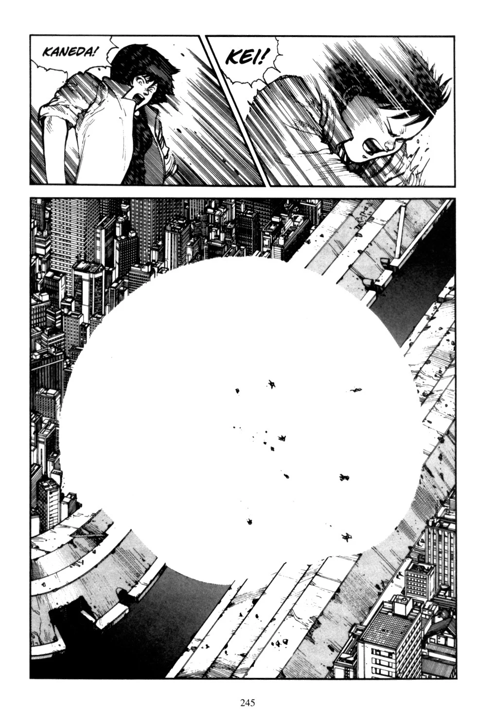 Page 243