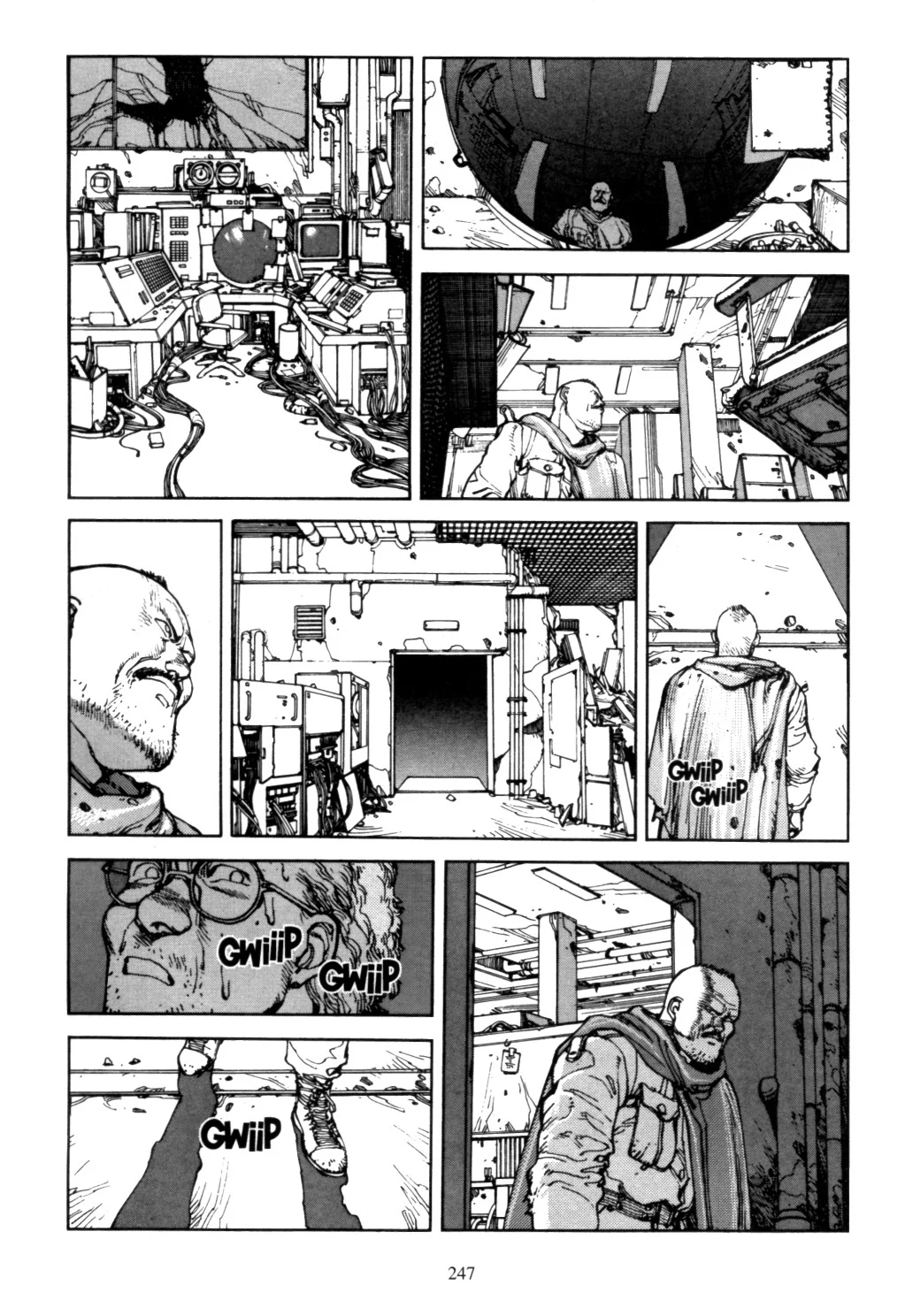 Page 243