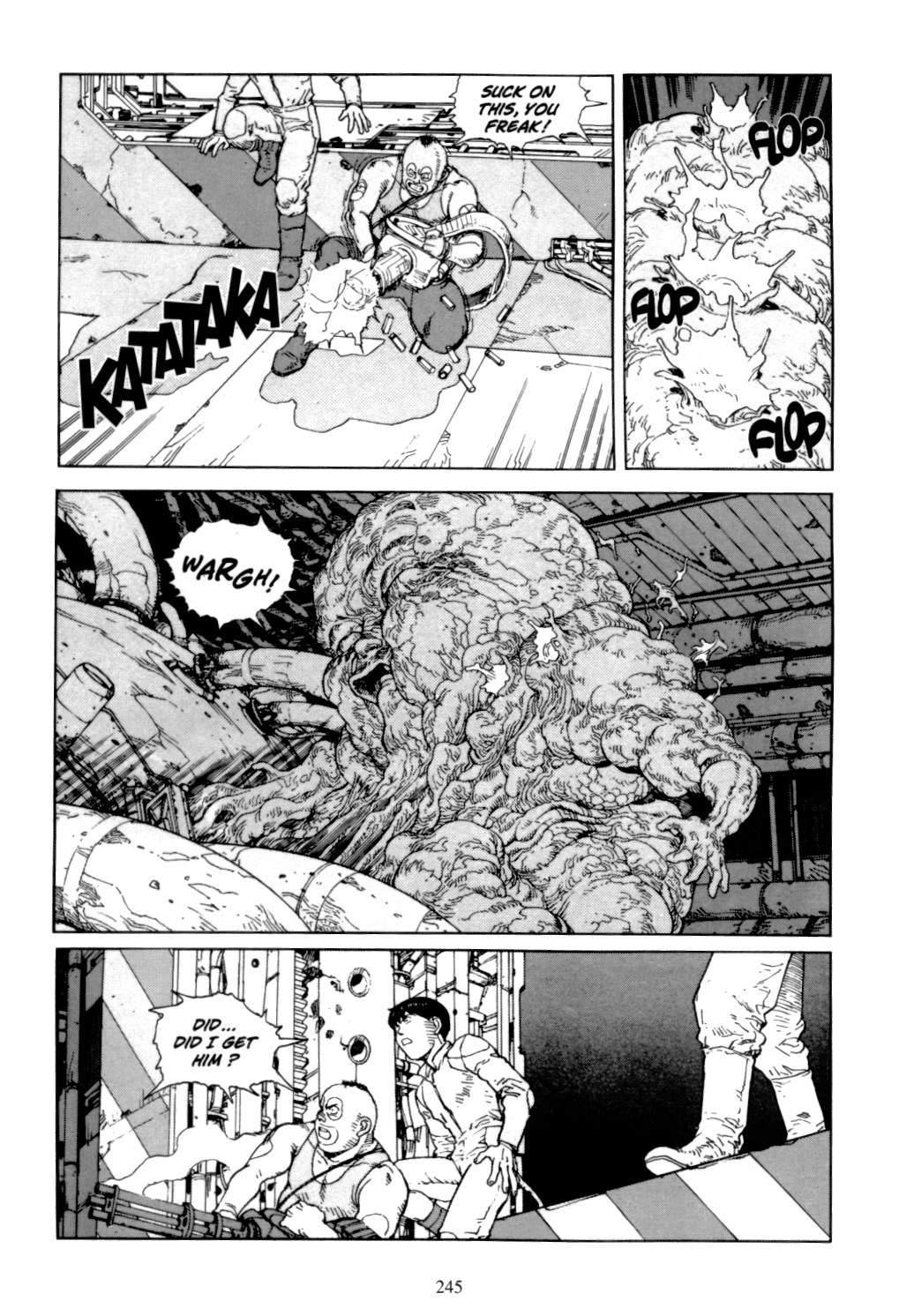 Page 243