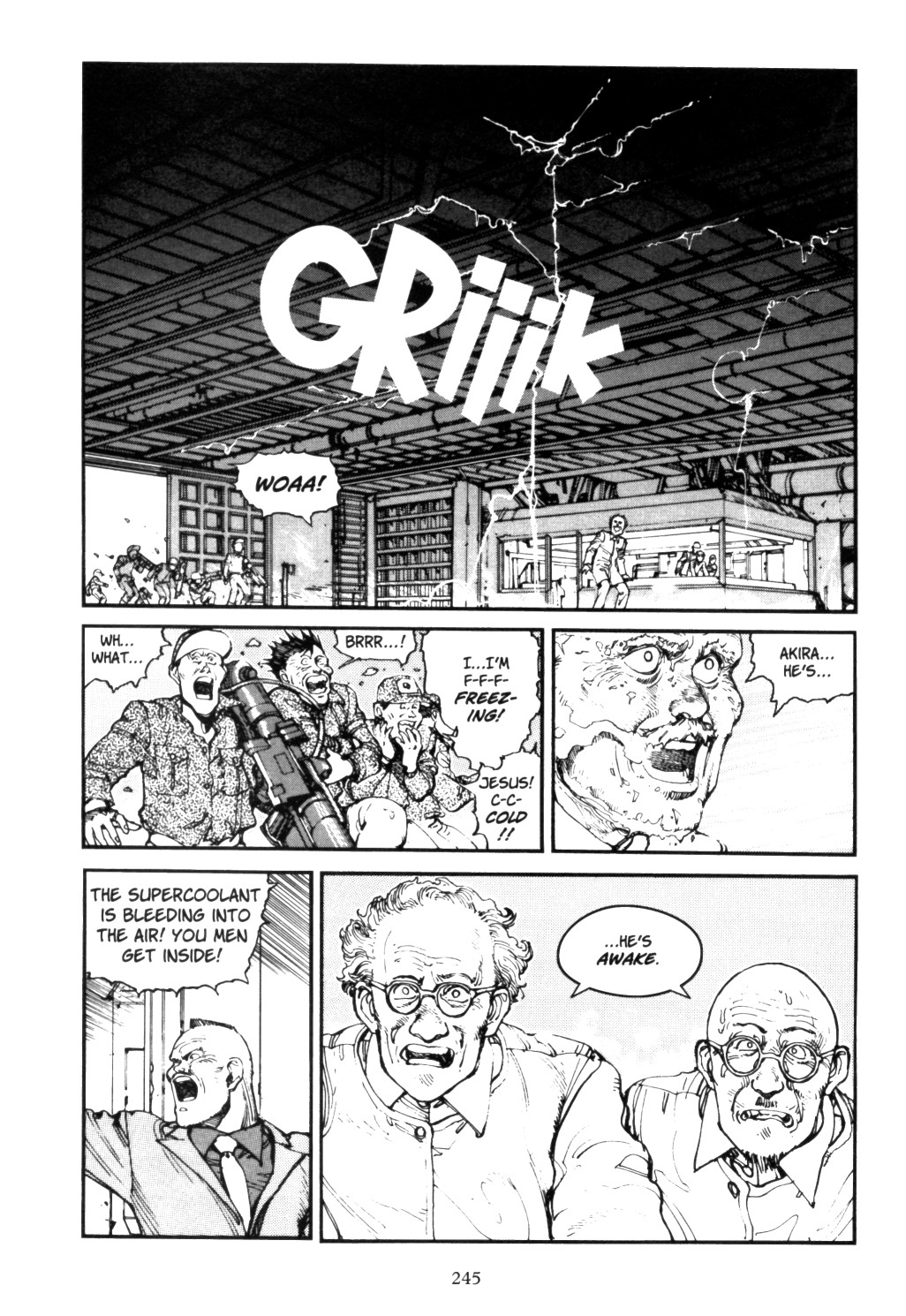 Page 243