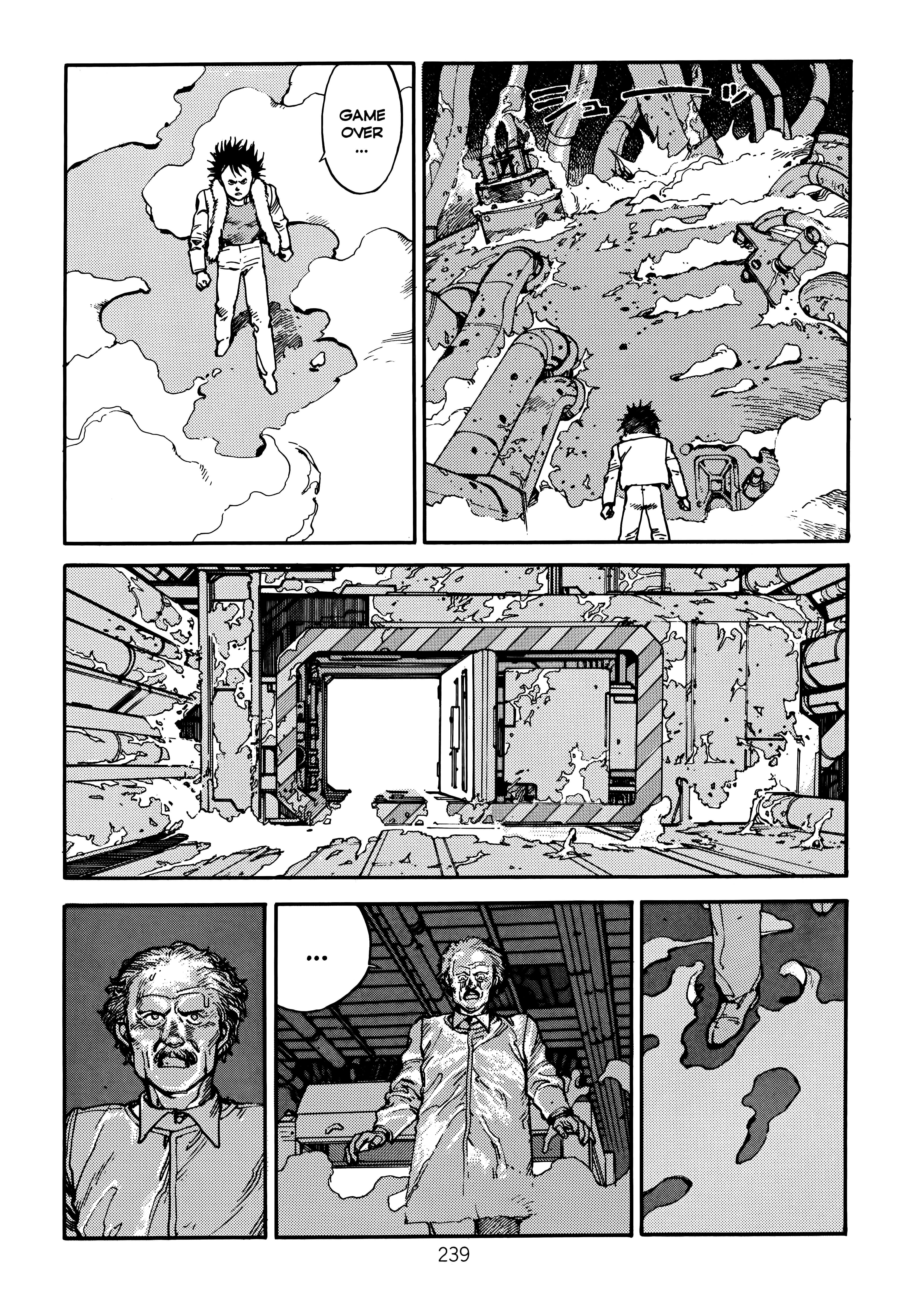 Page 243
