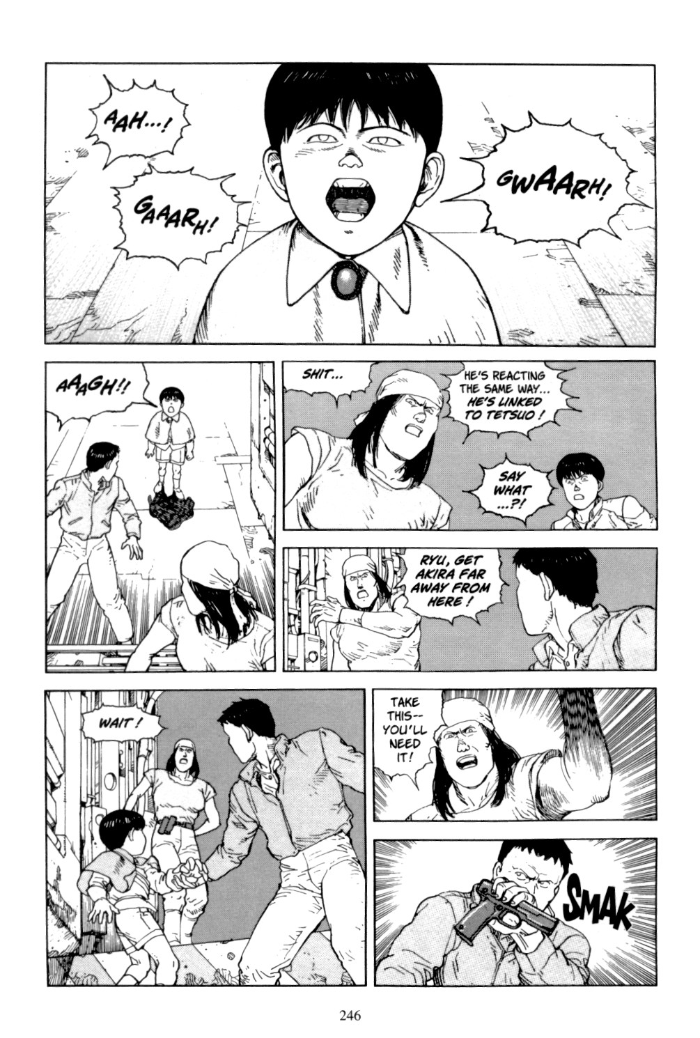 Page 244