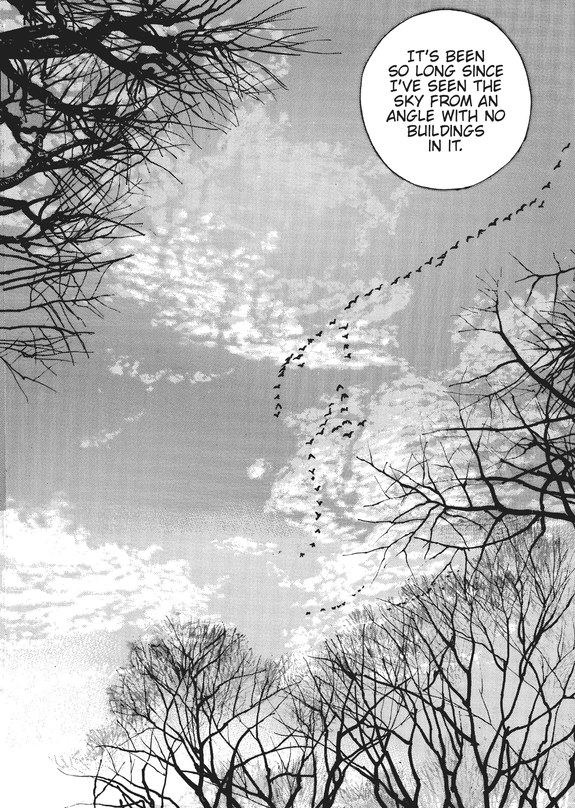 Page 244