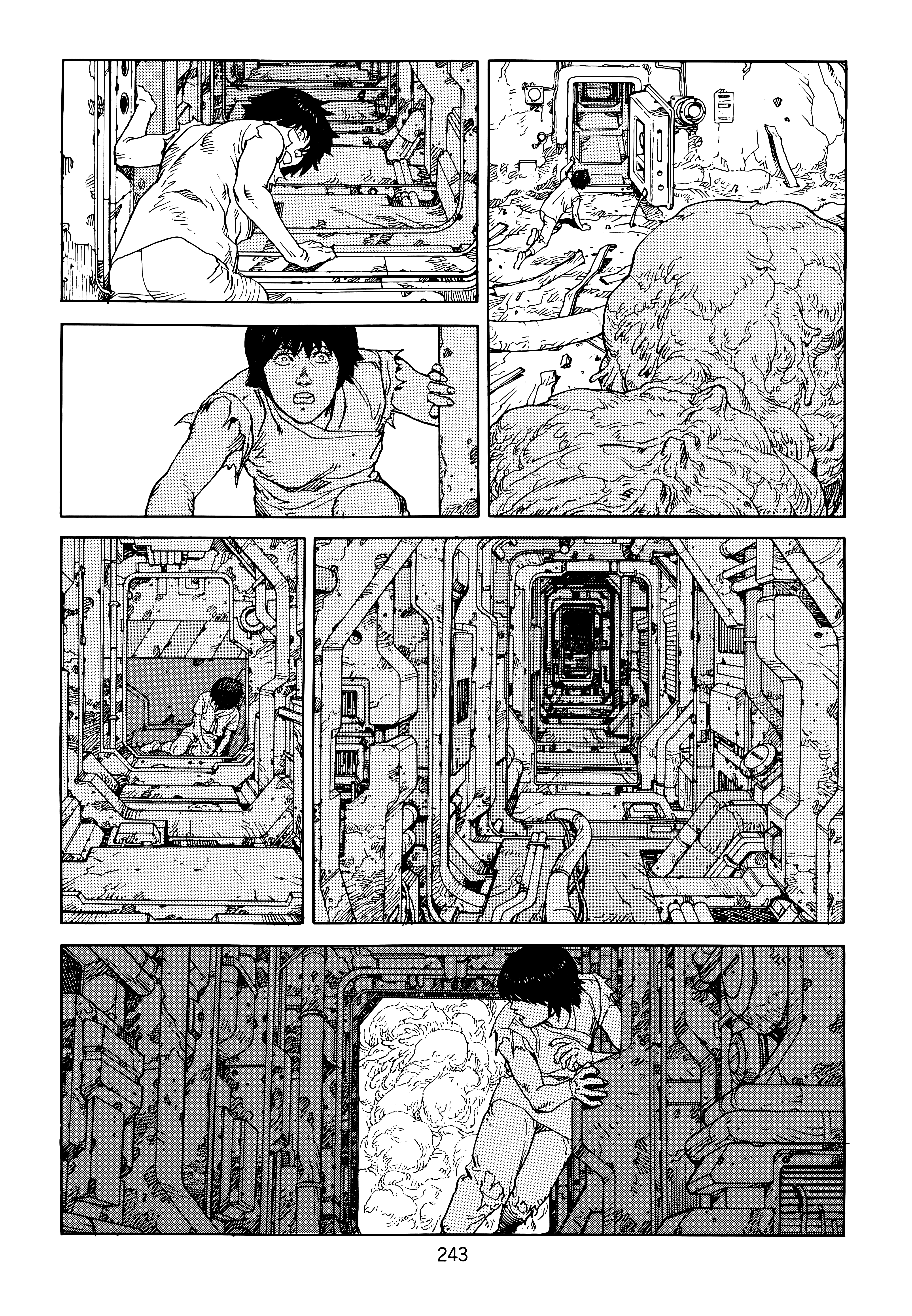 Page 245