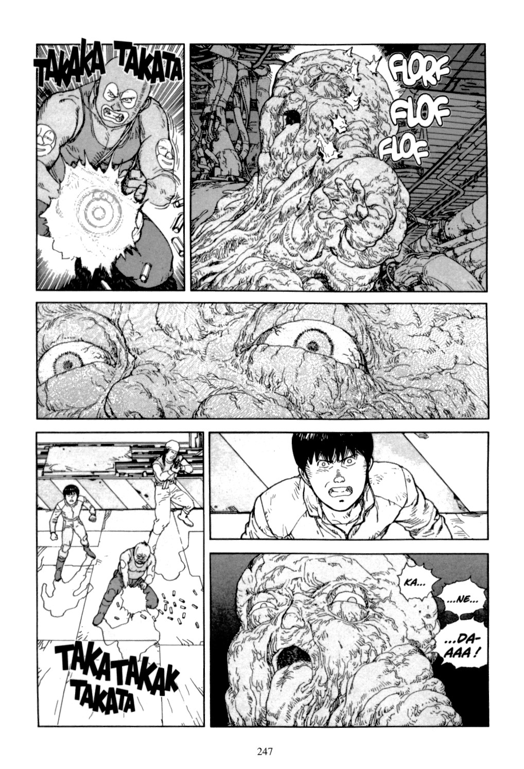 Page 245