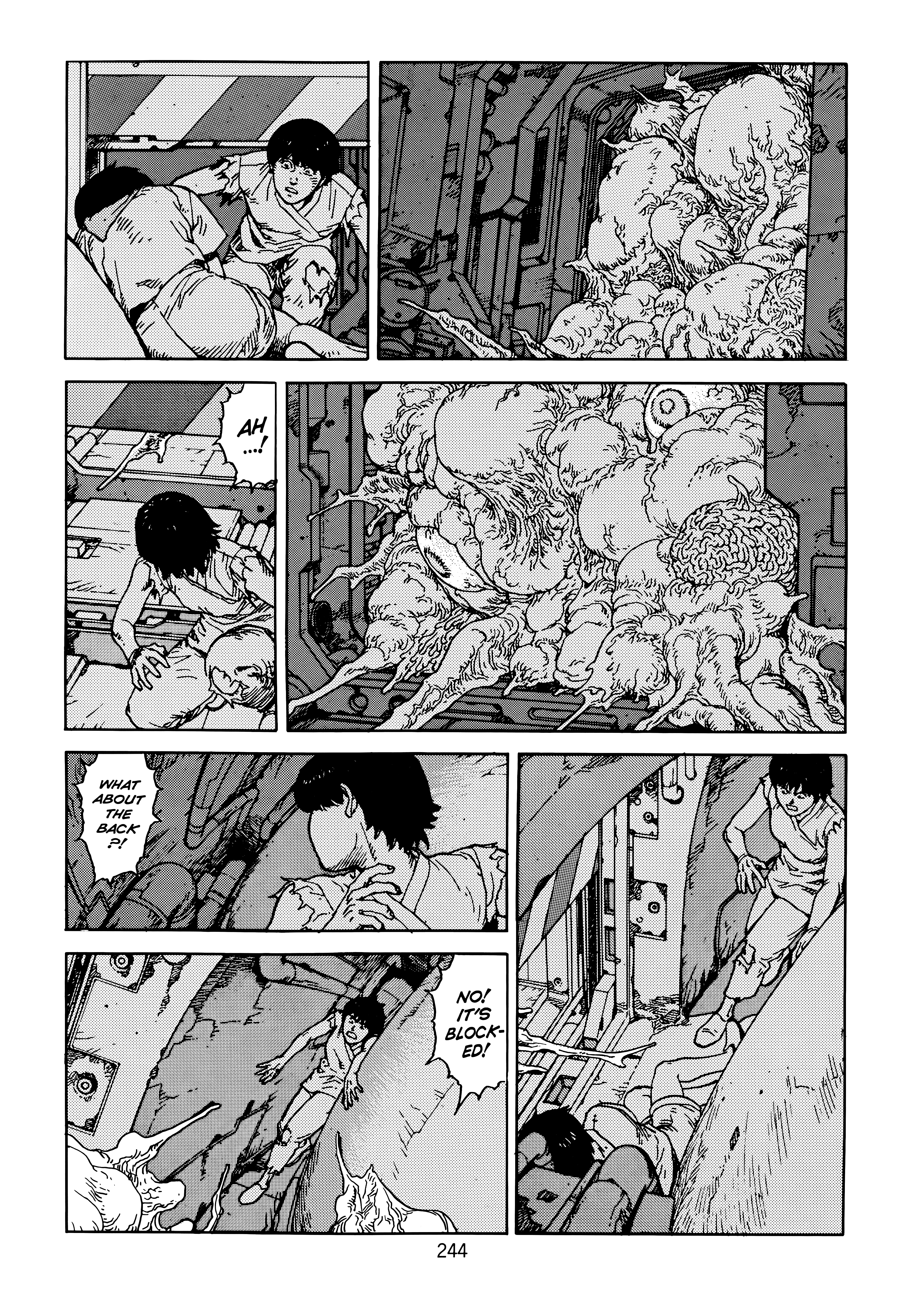 Page 246