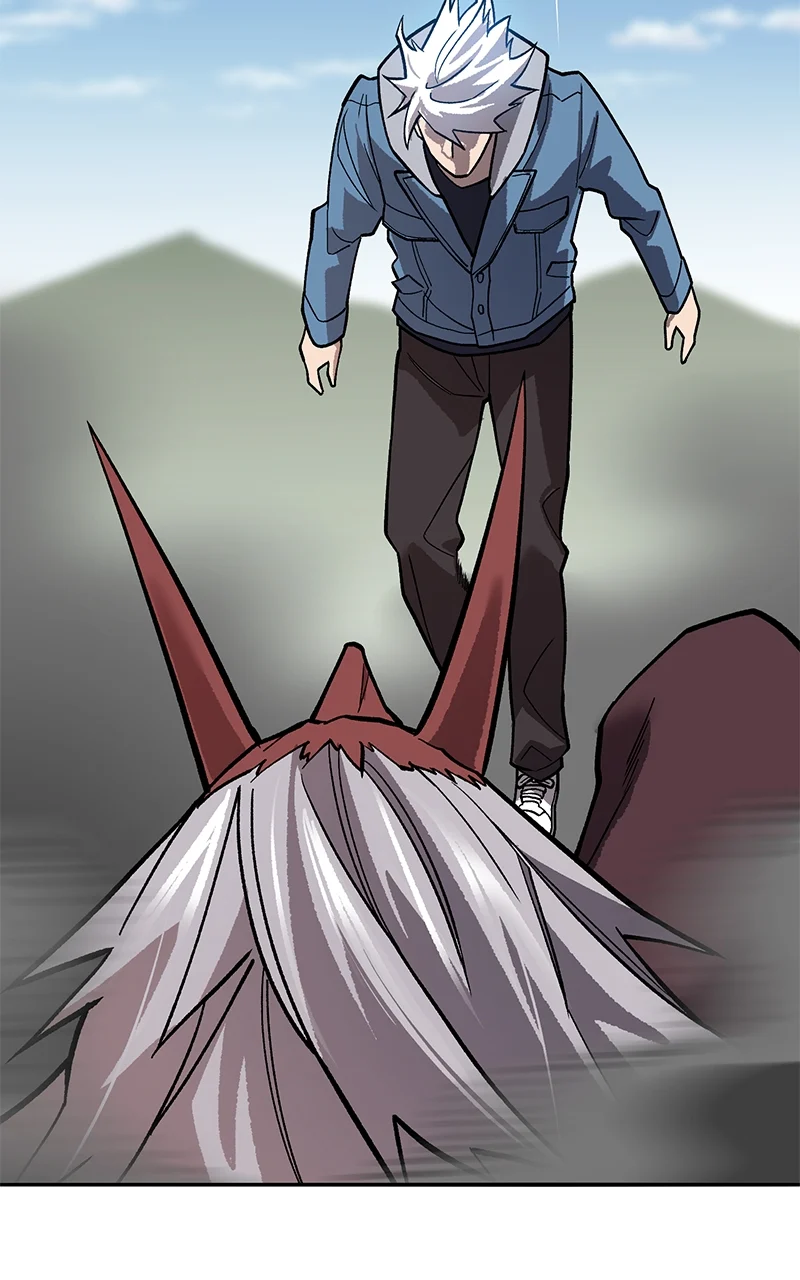 Page 247