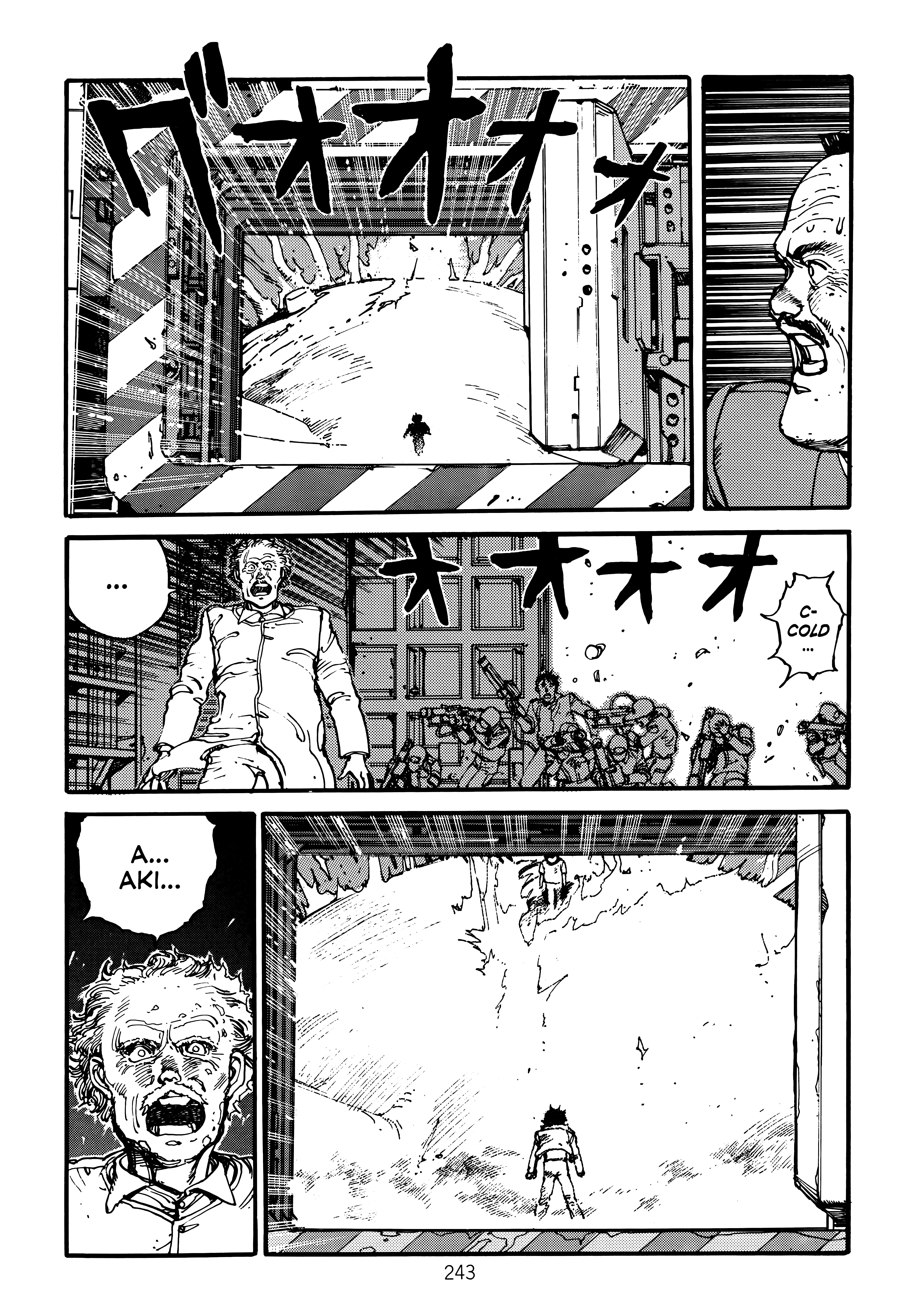 Page 247