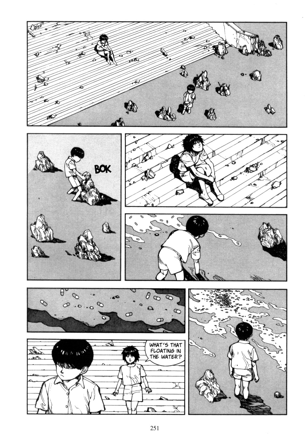 Page 247
