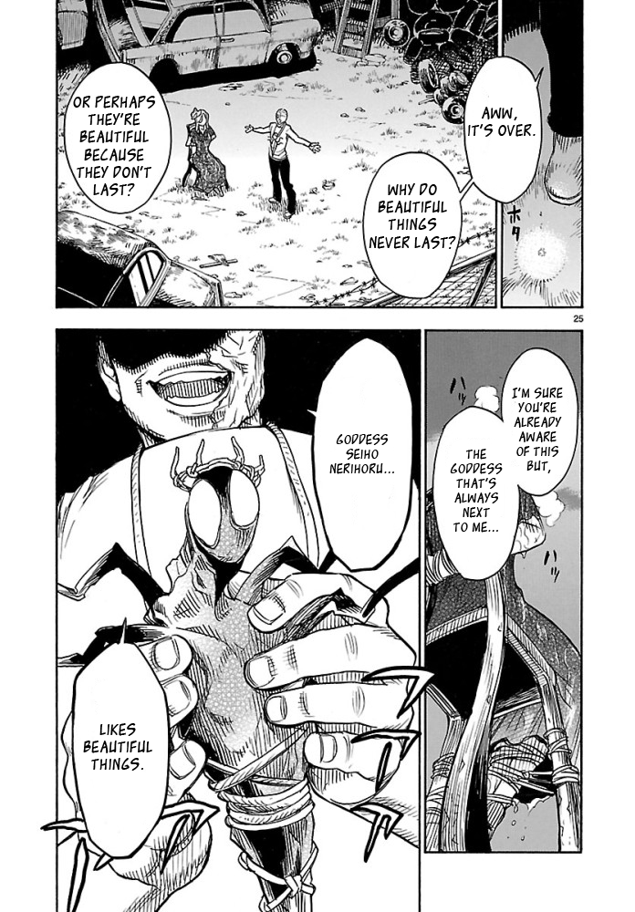 Page 25