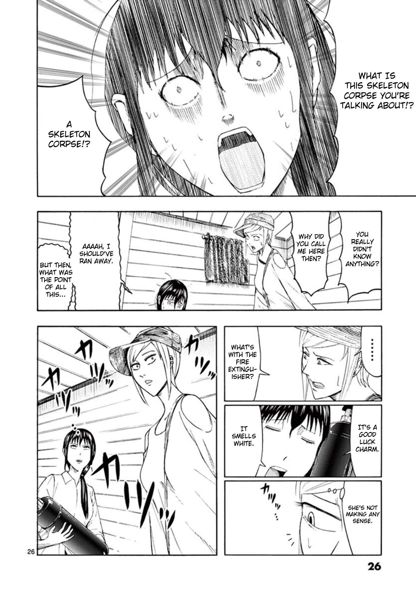 Page 26