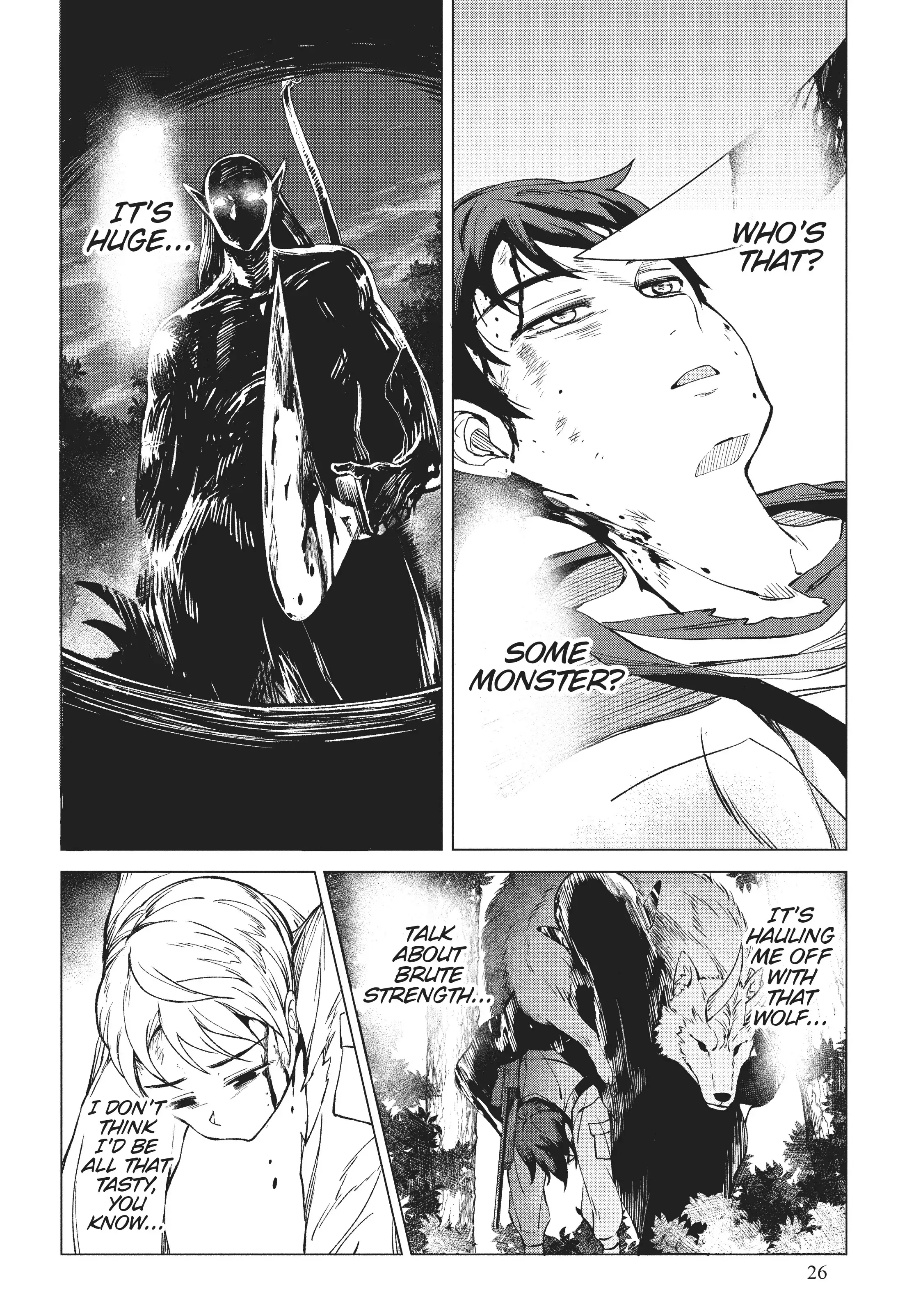 Page 26