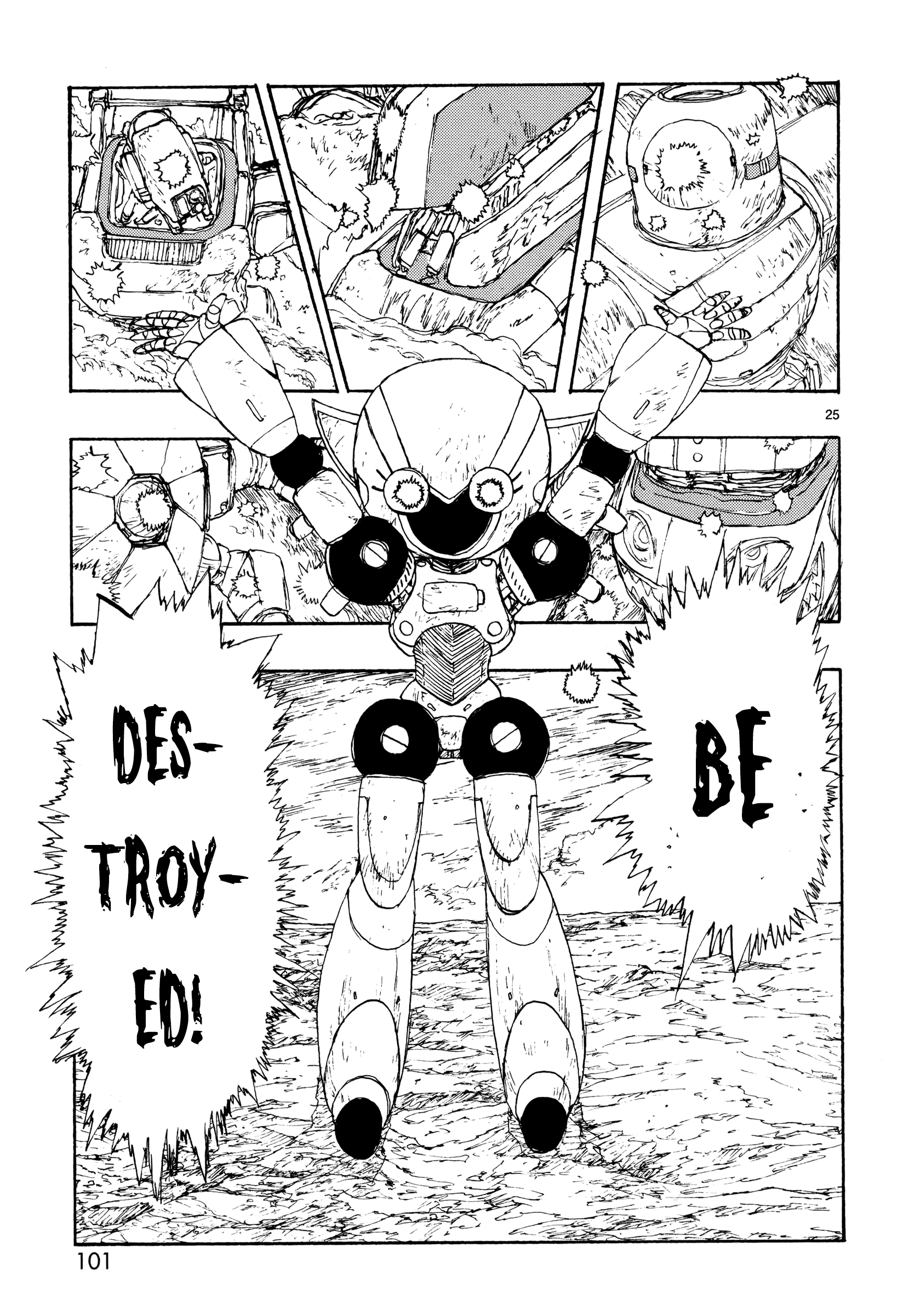 Page 25