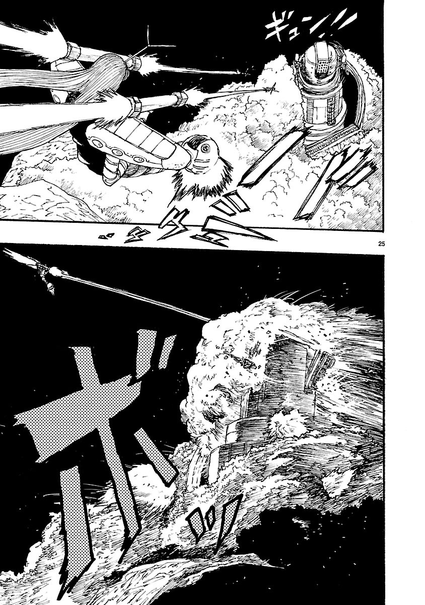 Page 25