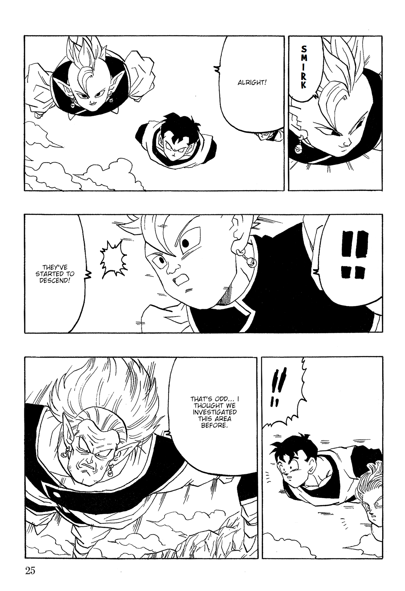 Page 25