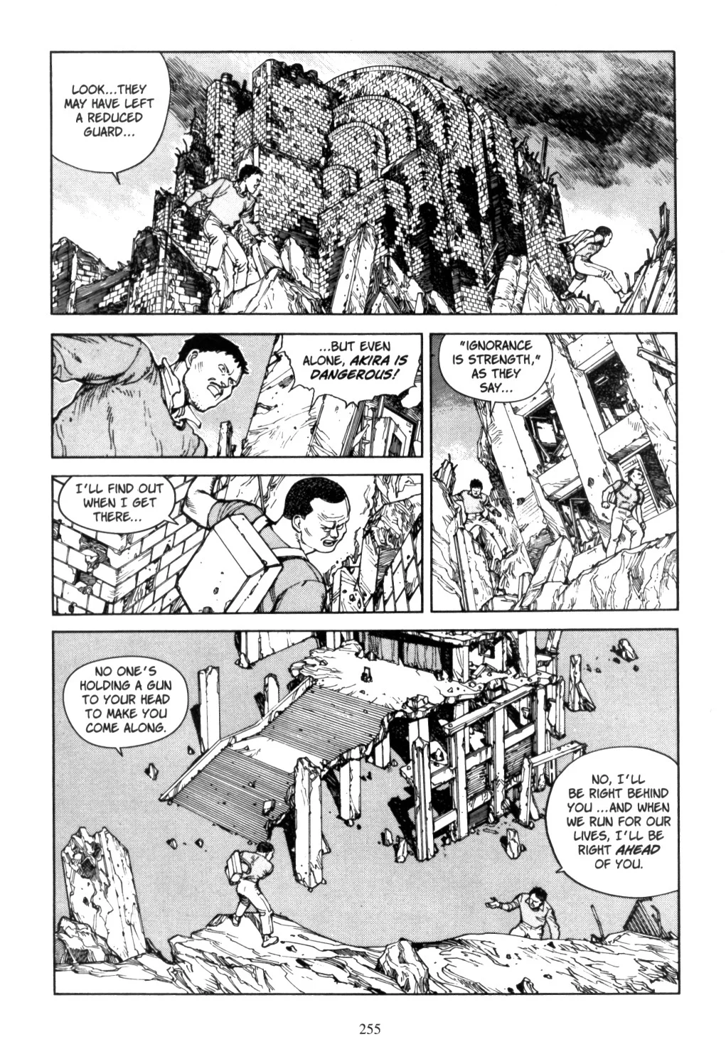 Page 251