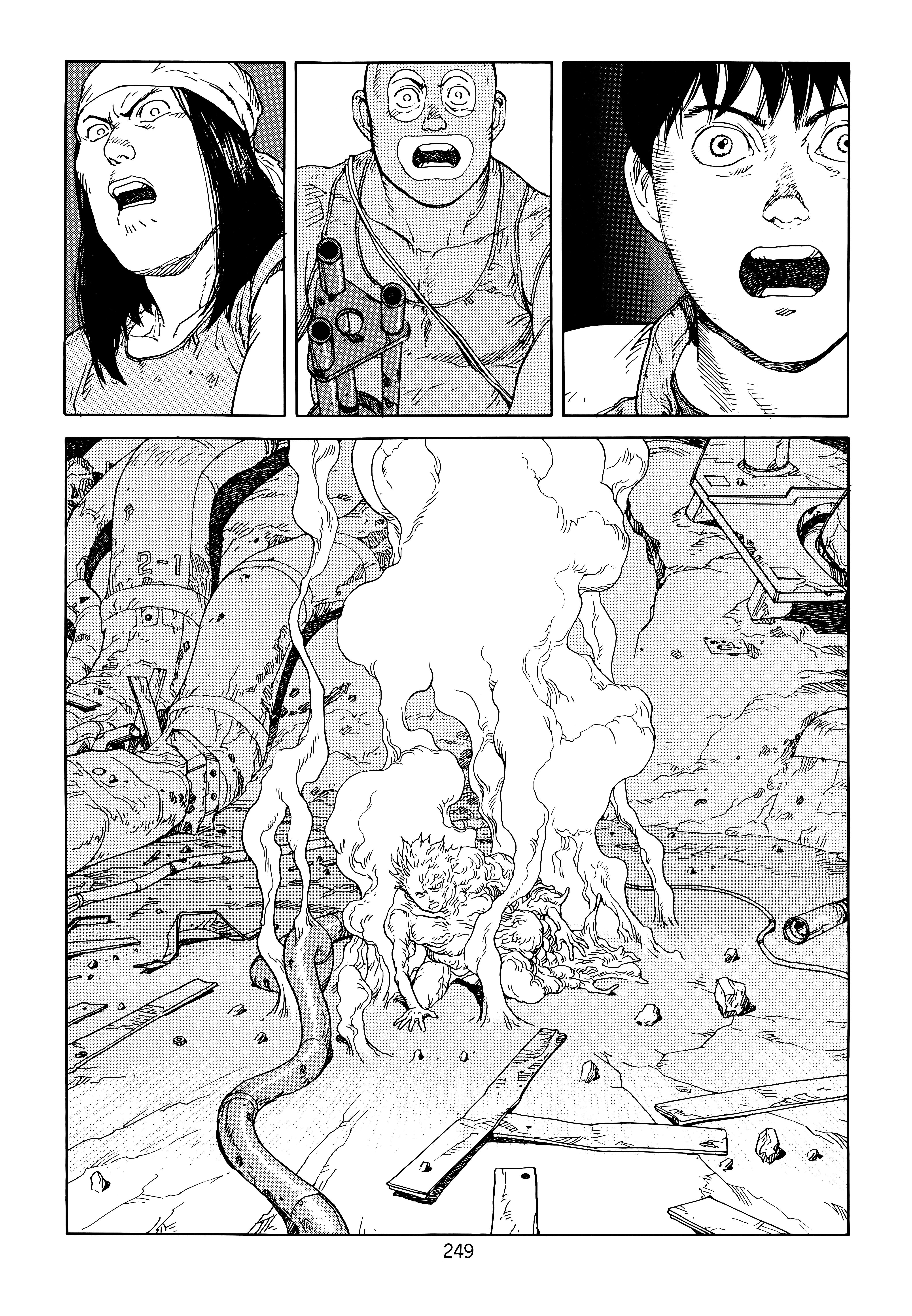 Page 251
