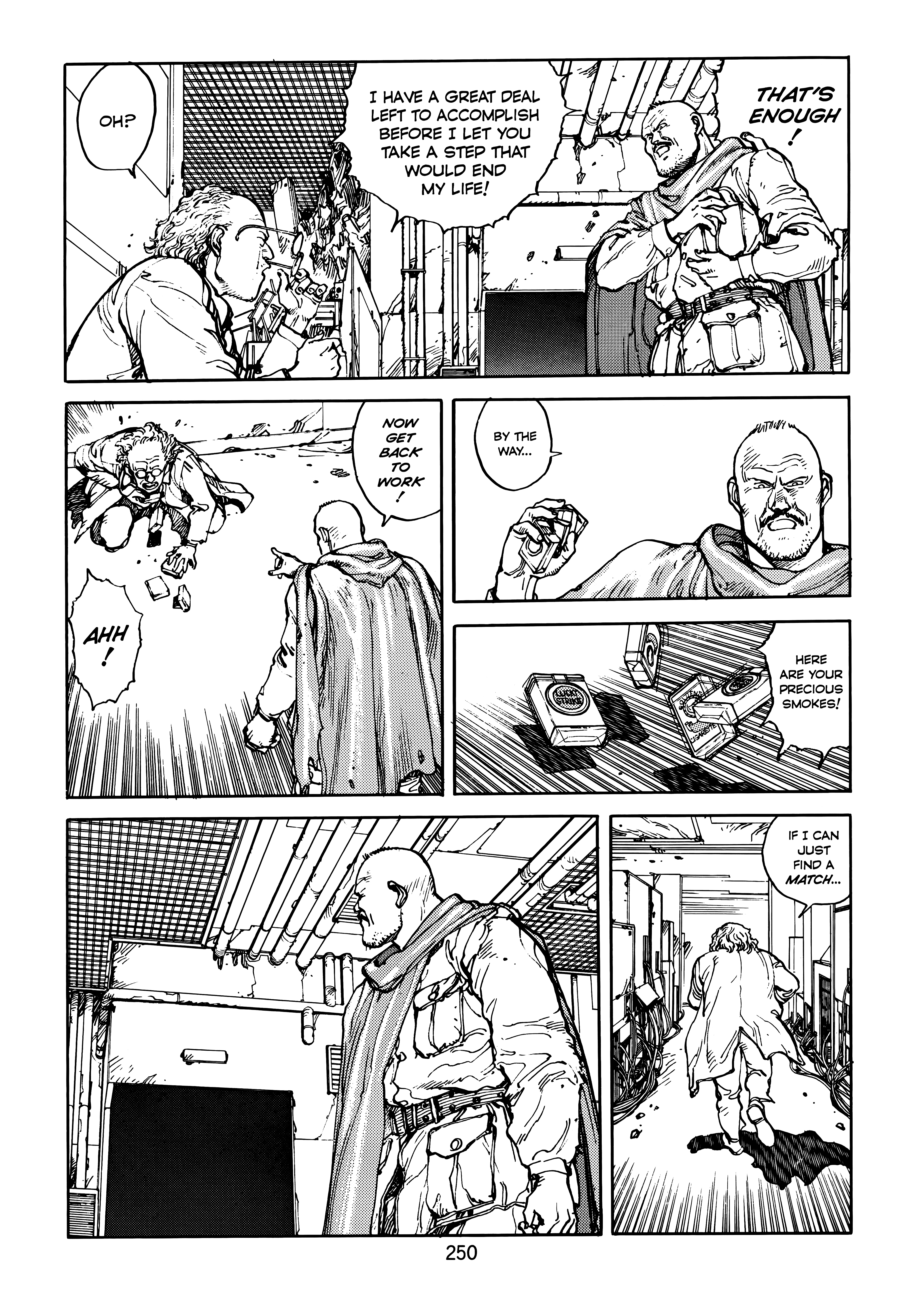 Page 251