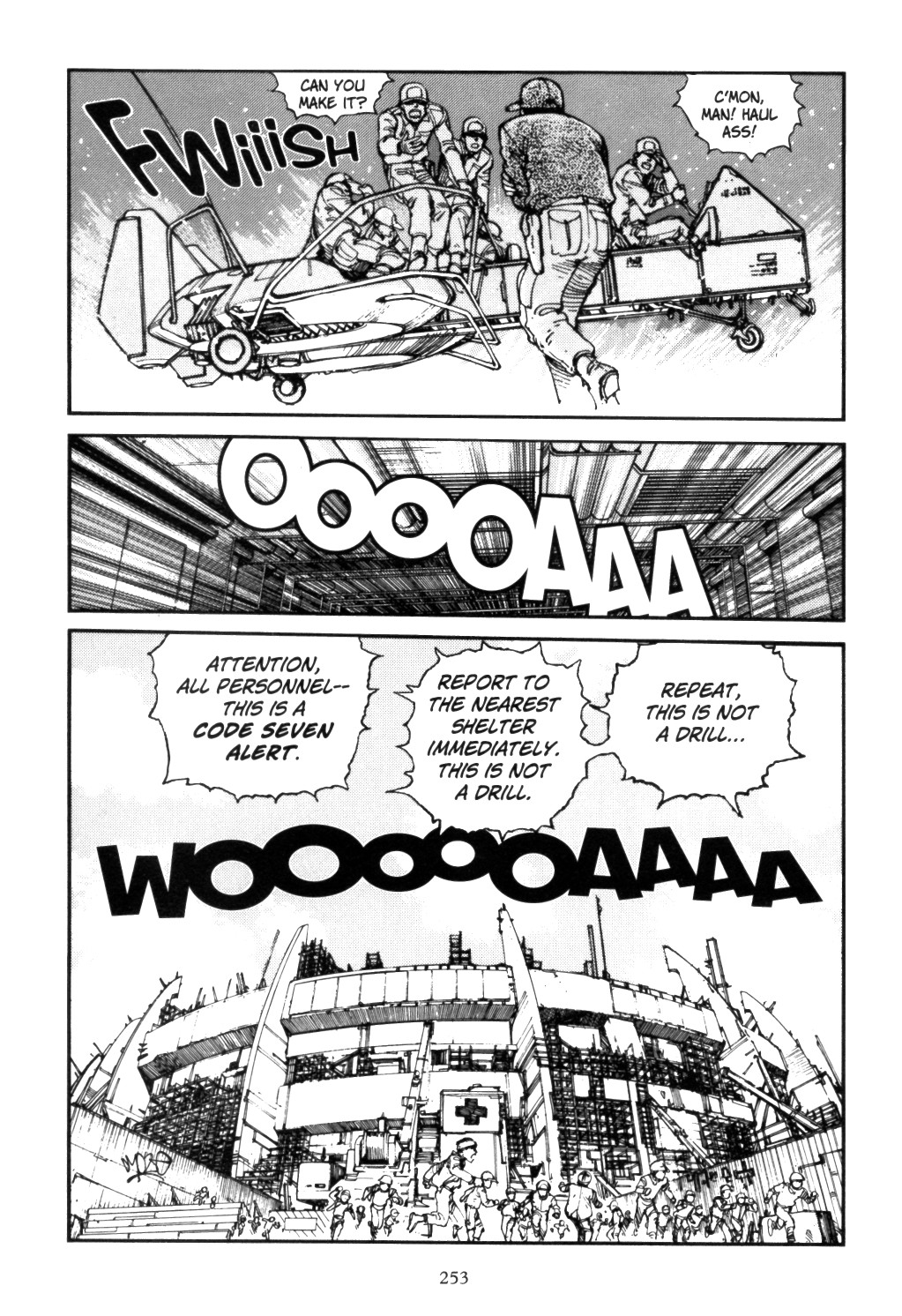 Page 251
