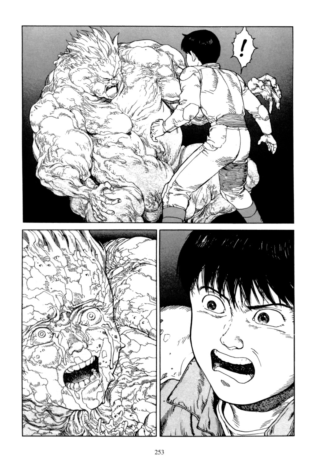 Page 251