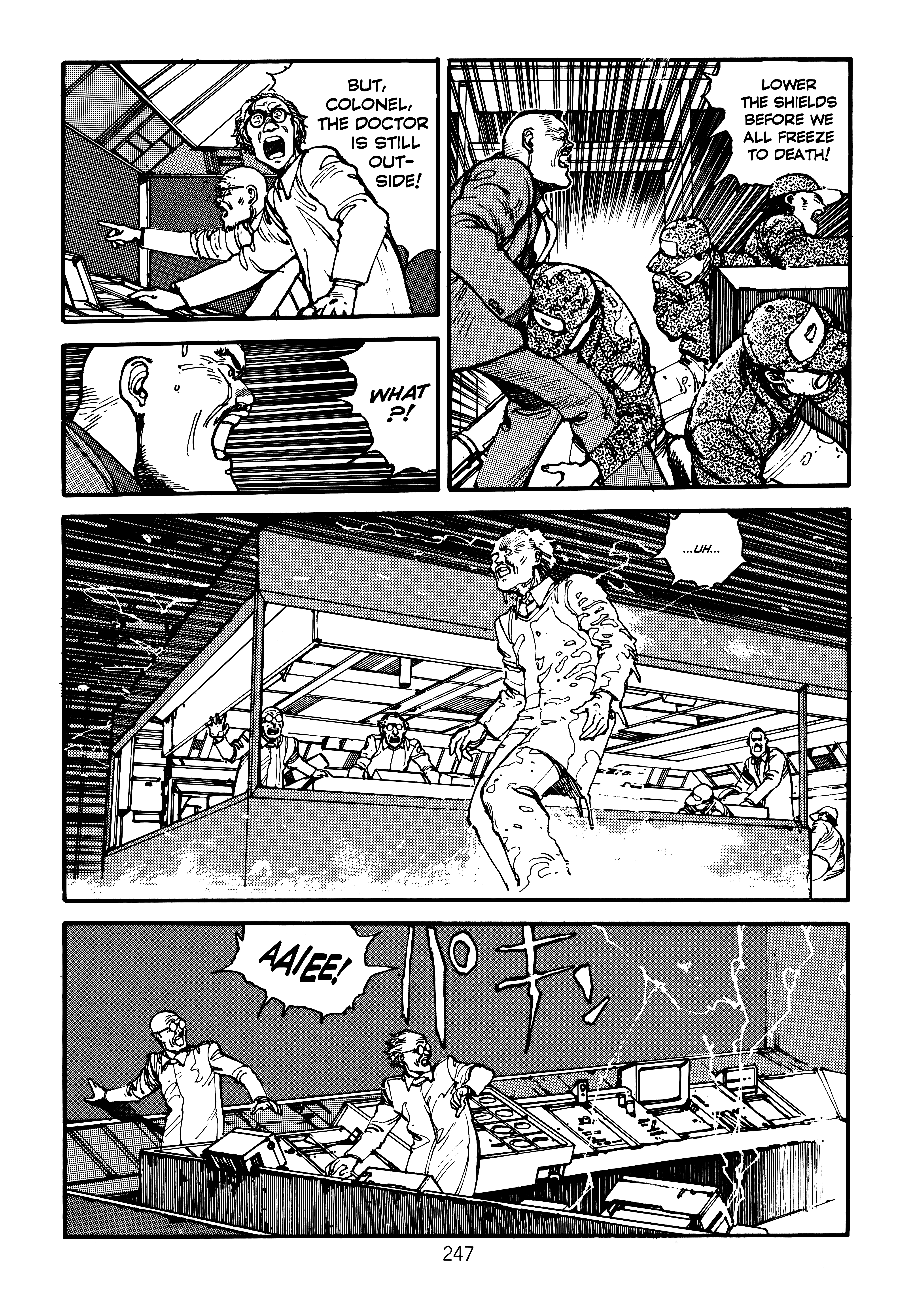 Page 251