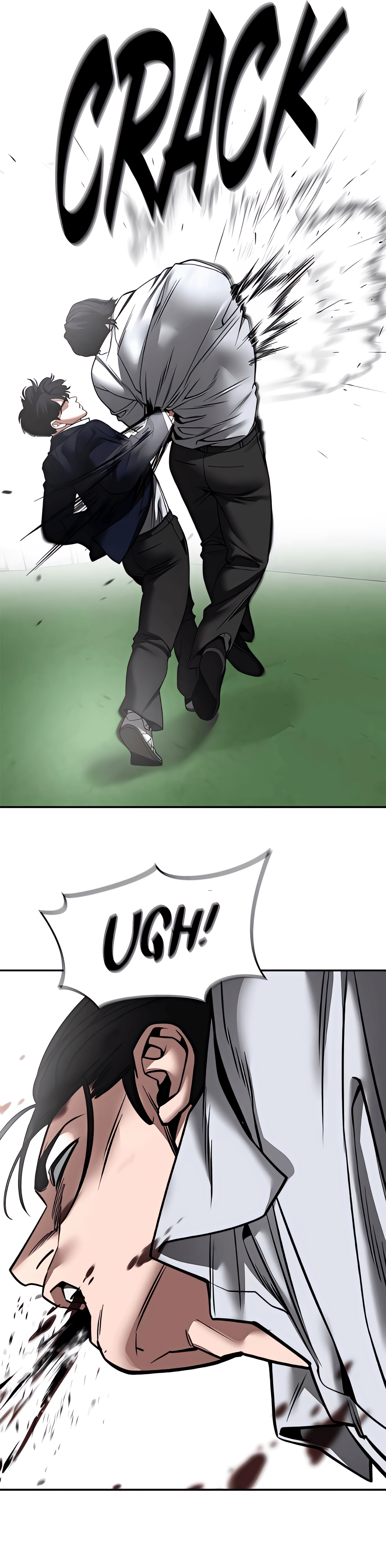 Page 251