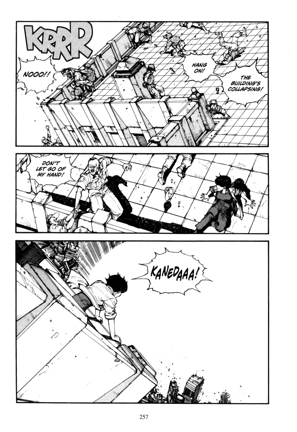 Page 251