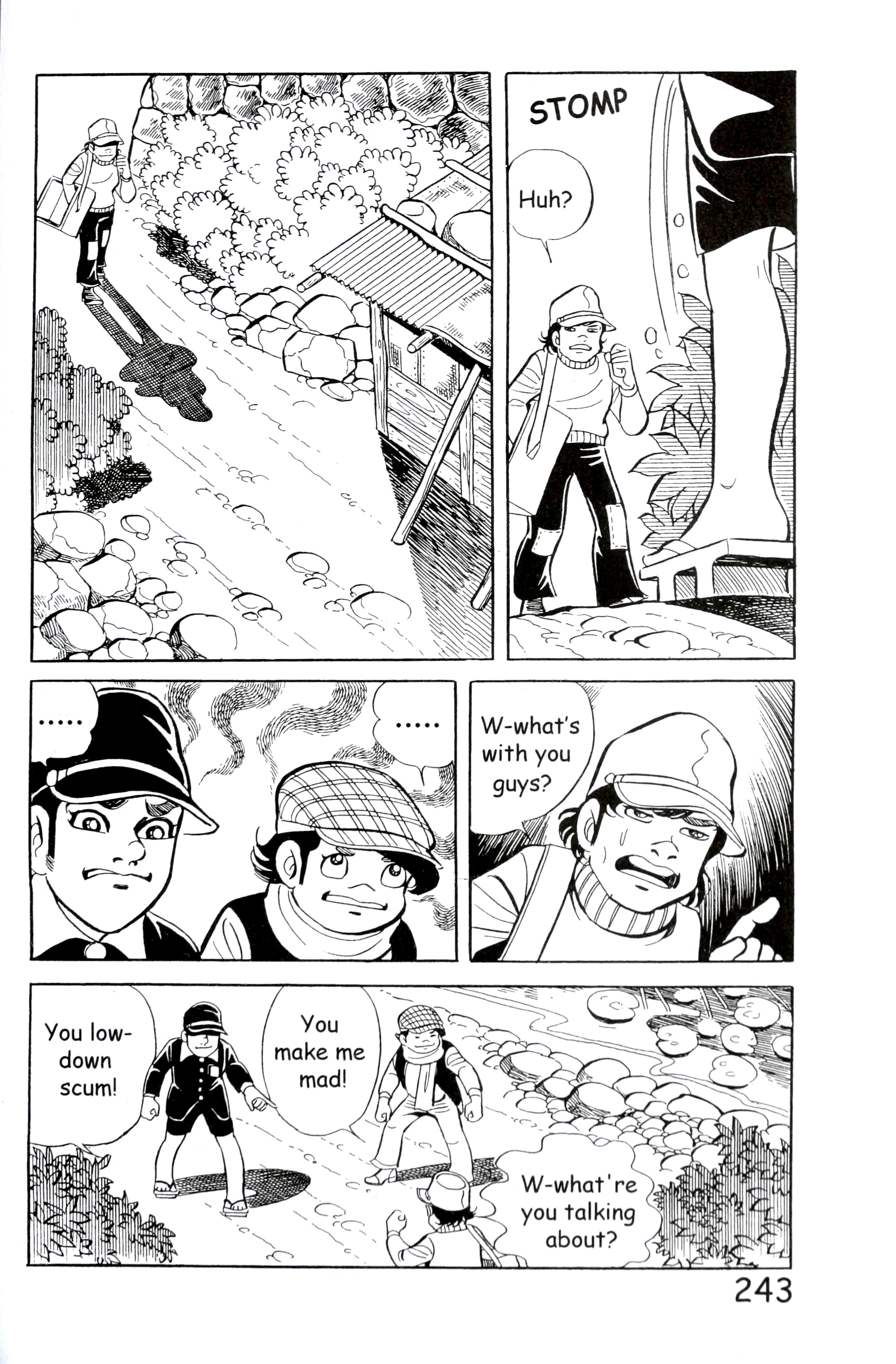 Page 251