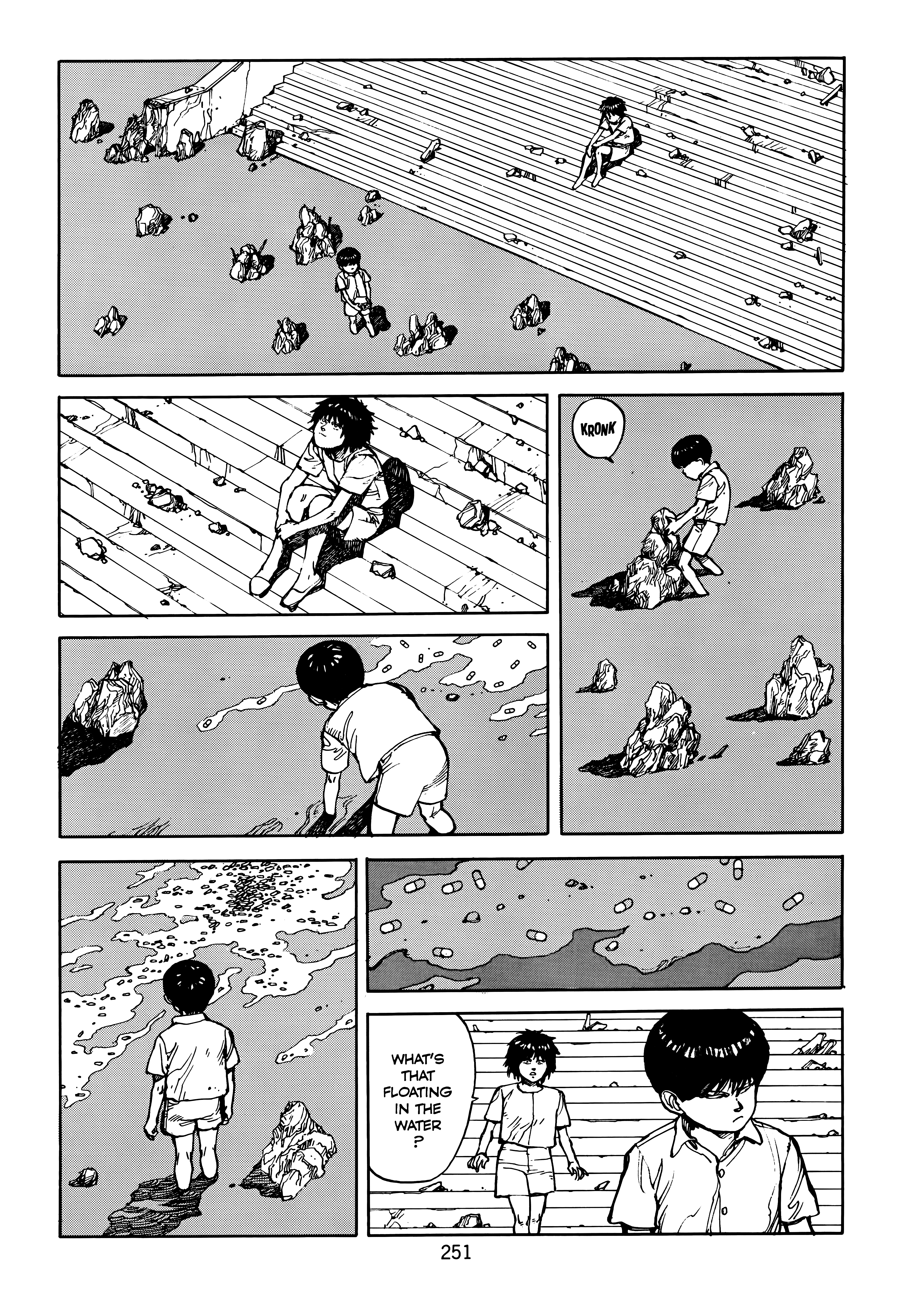 Page 252