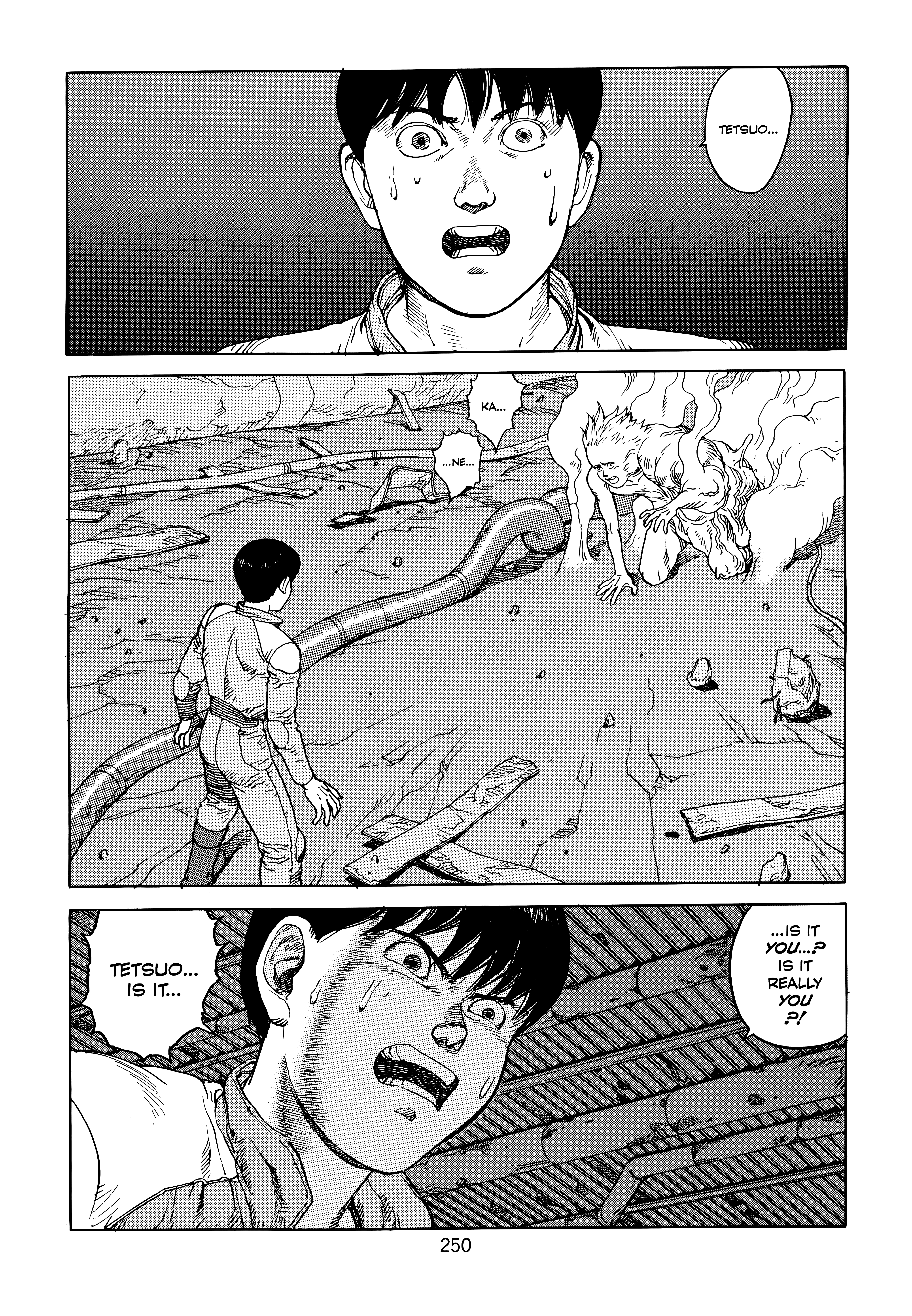 Page 252