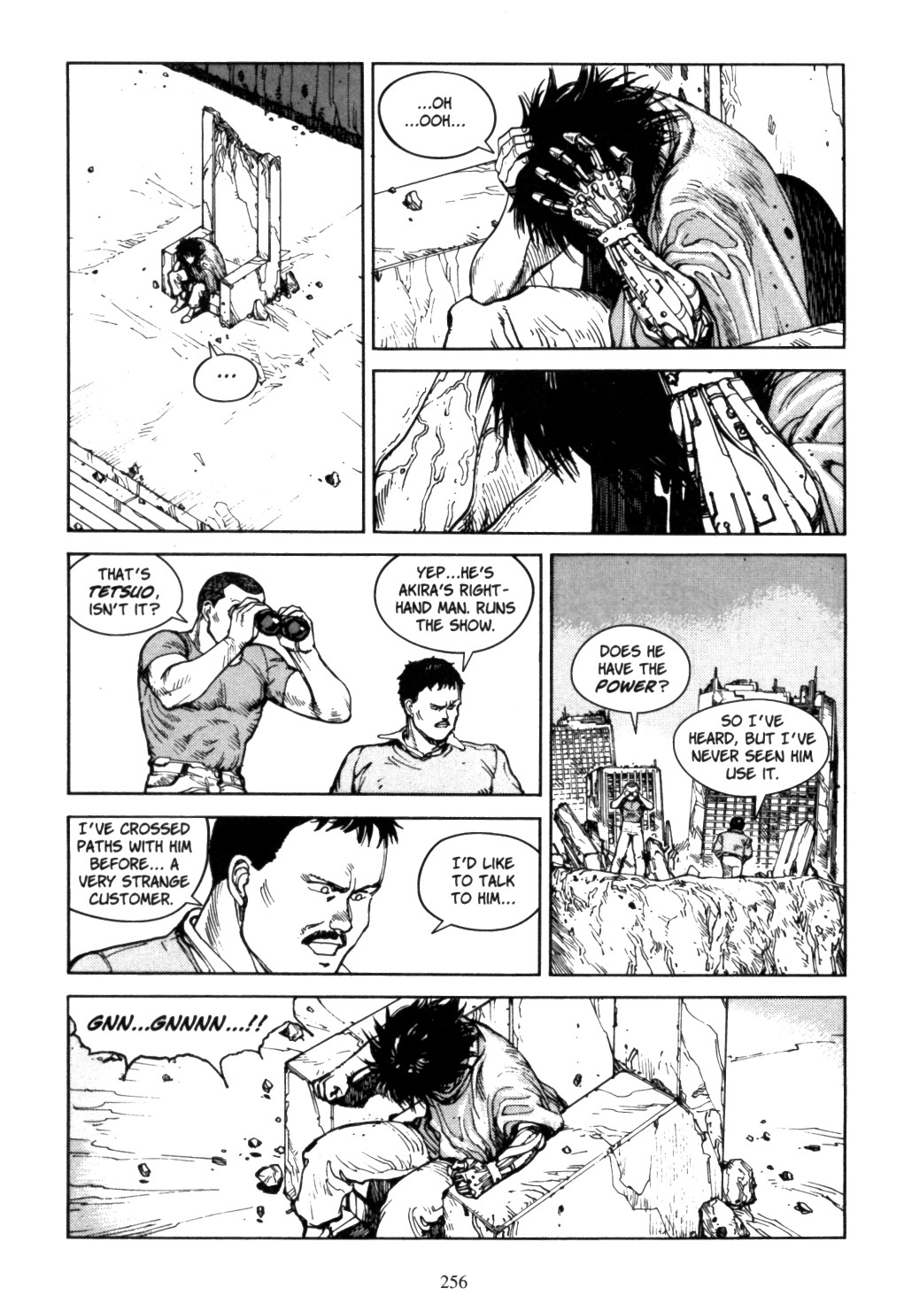 Page 252