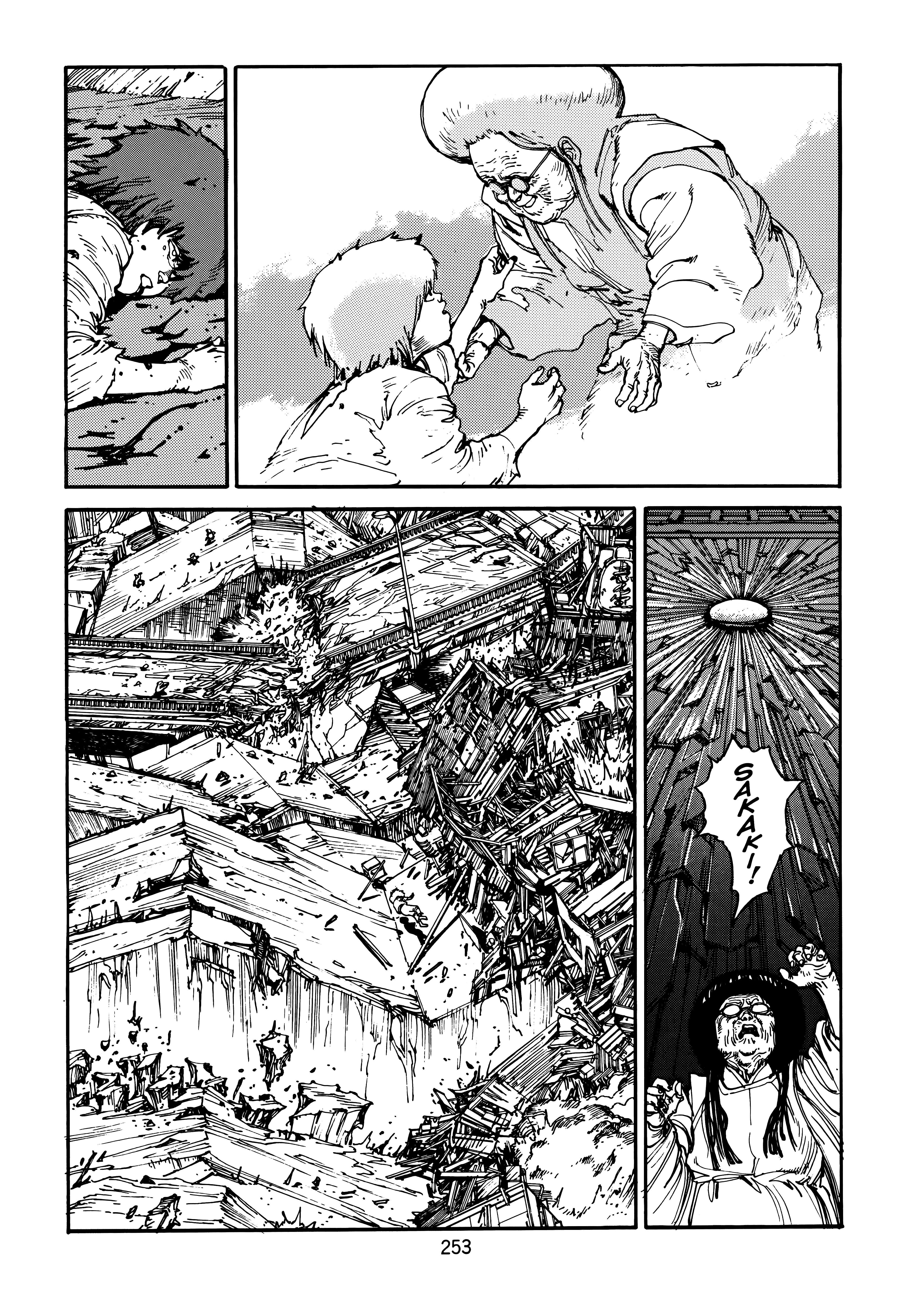 Page 253
