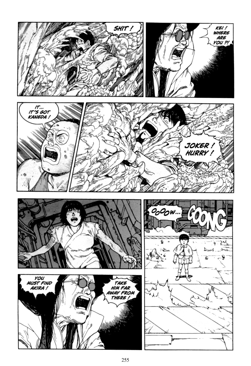Page 253