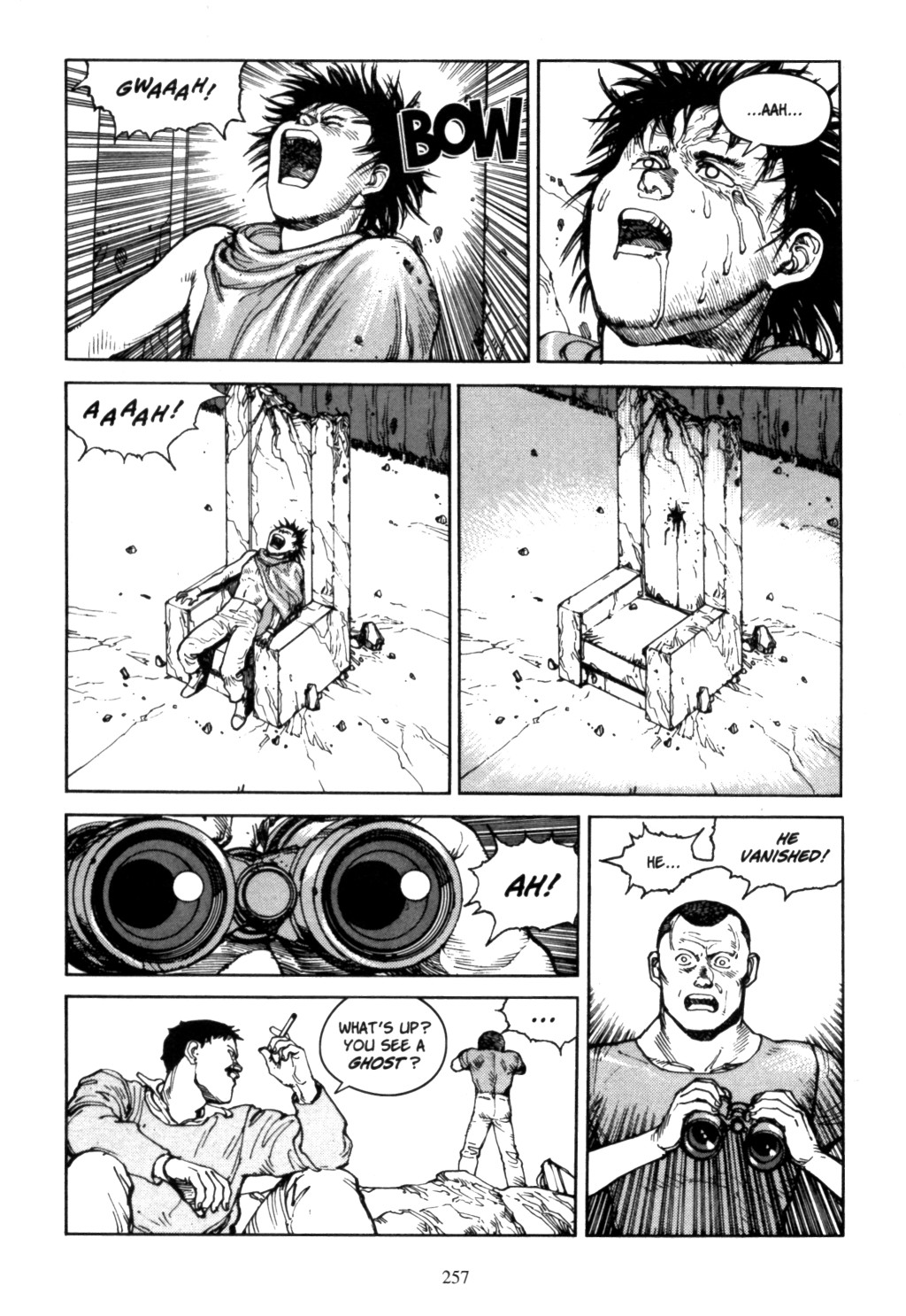 Page 253