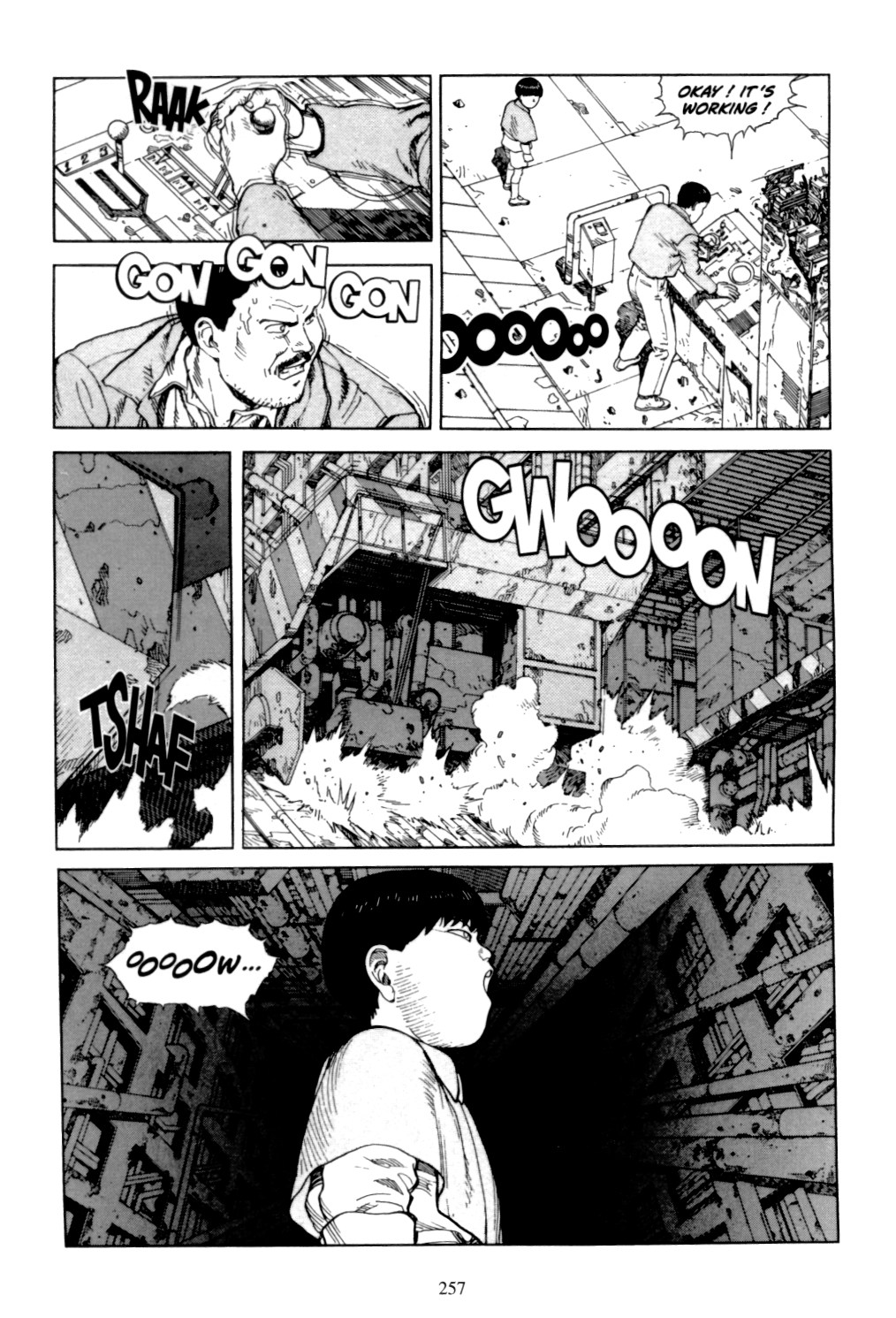 Page 255