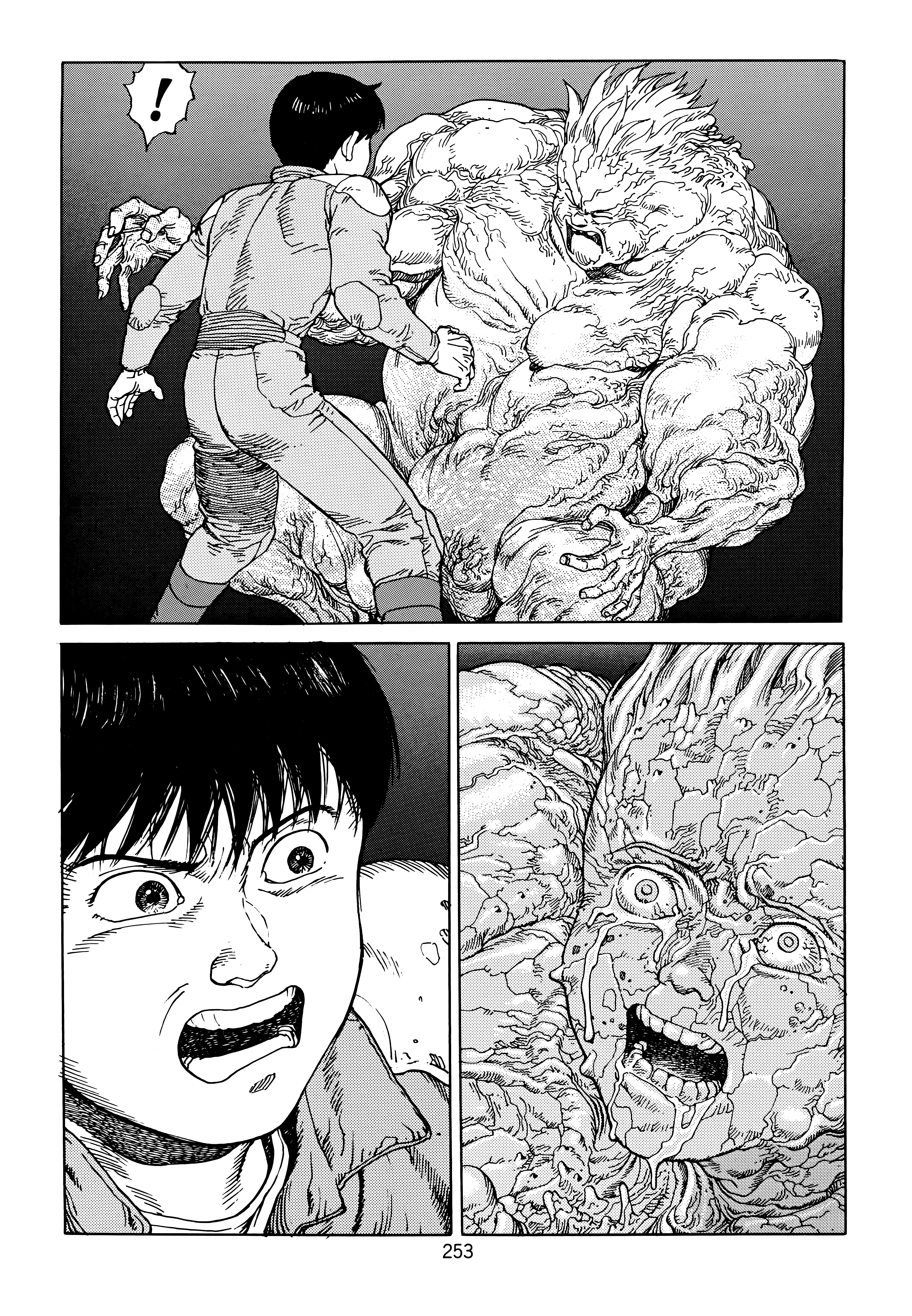 Page 255