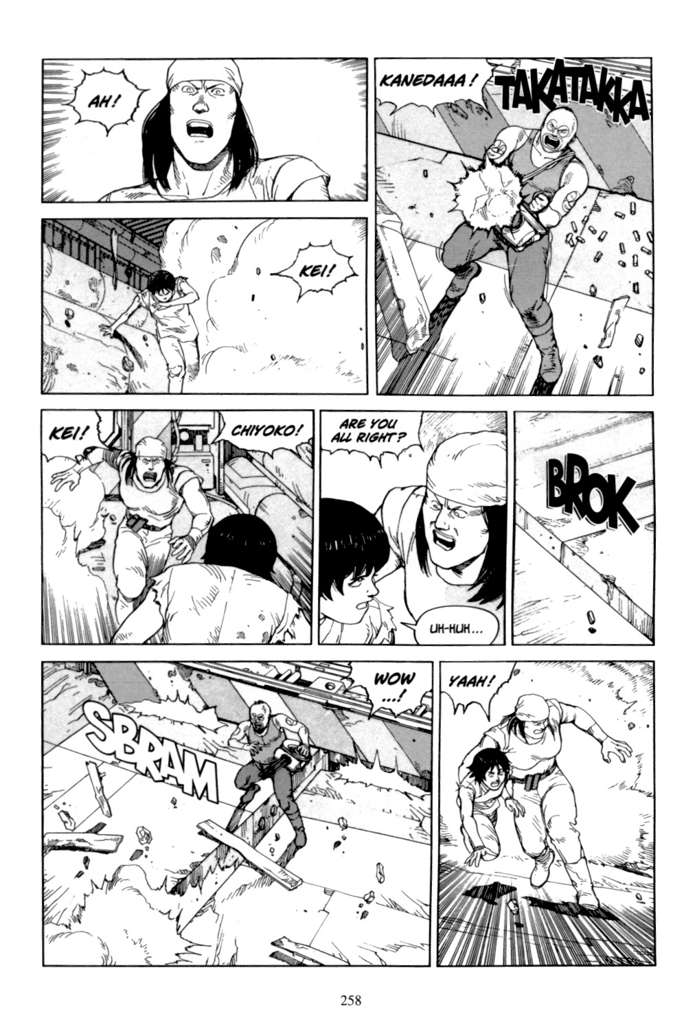 Page 256