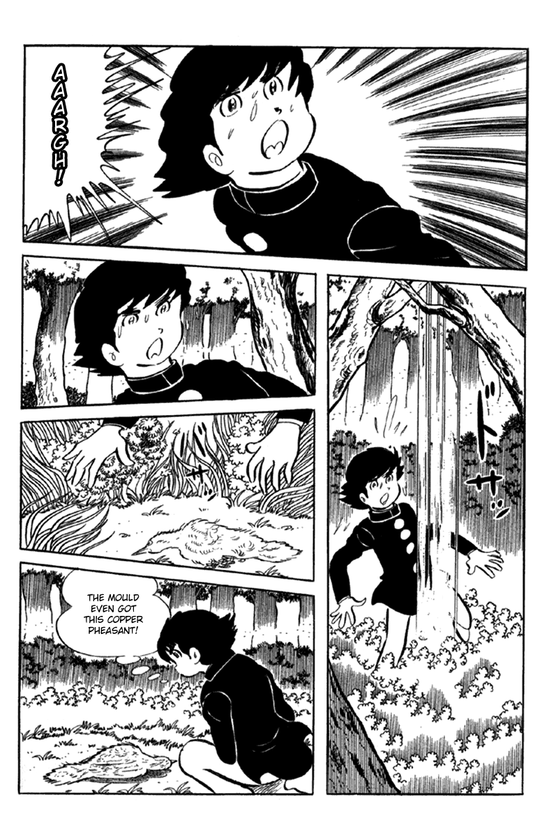 Page 257