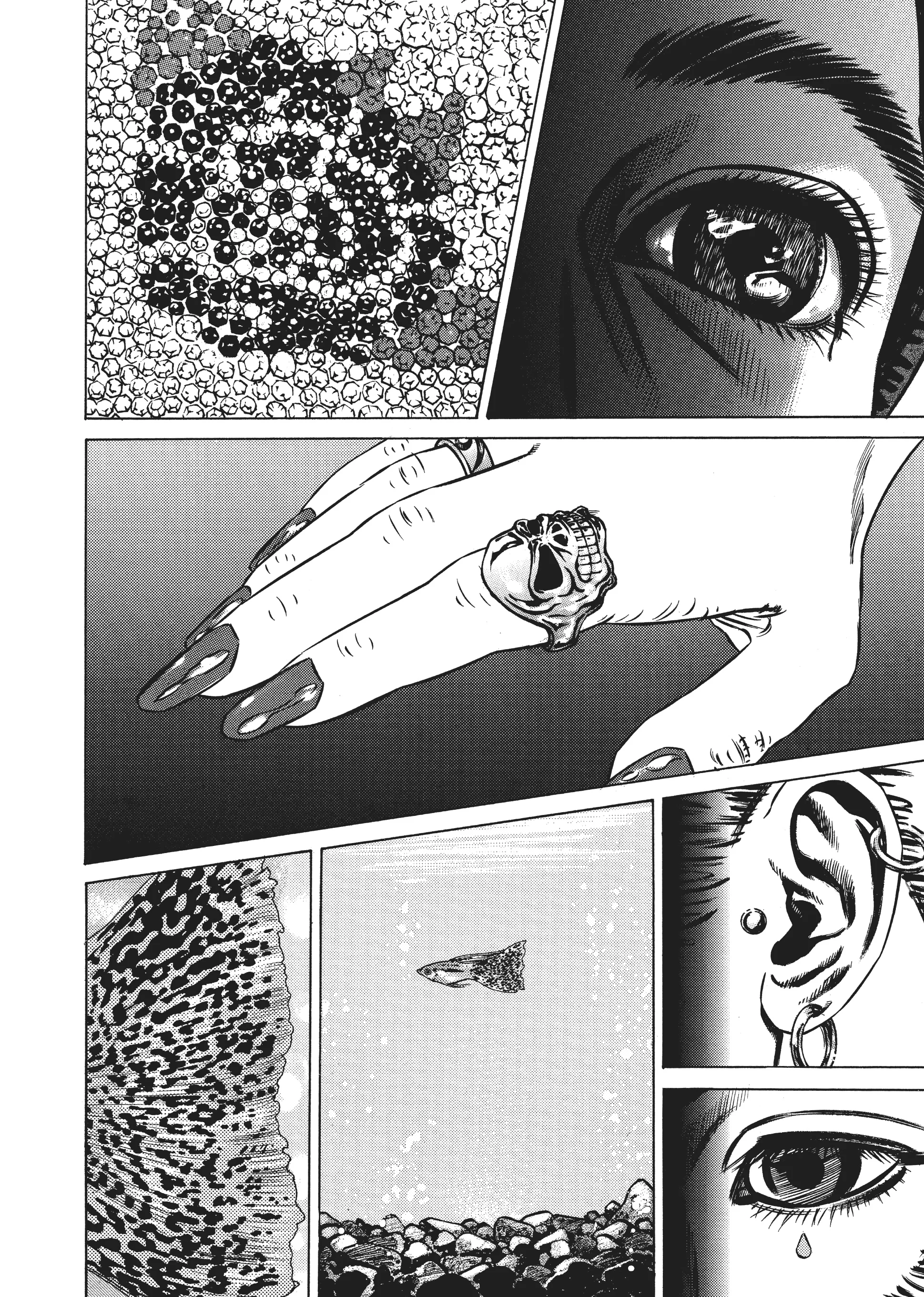 Page 257