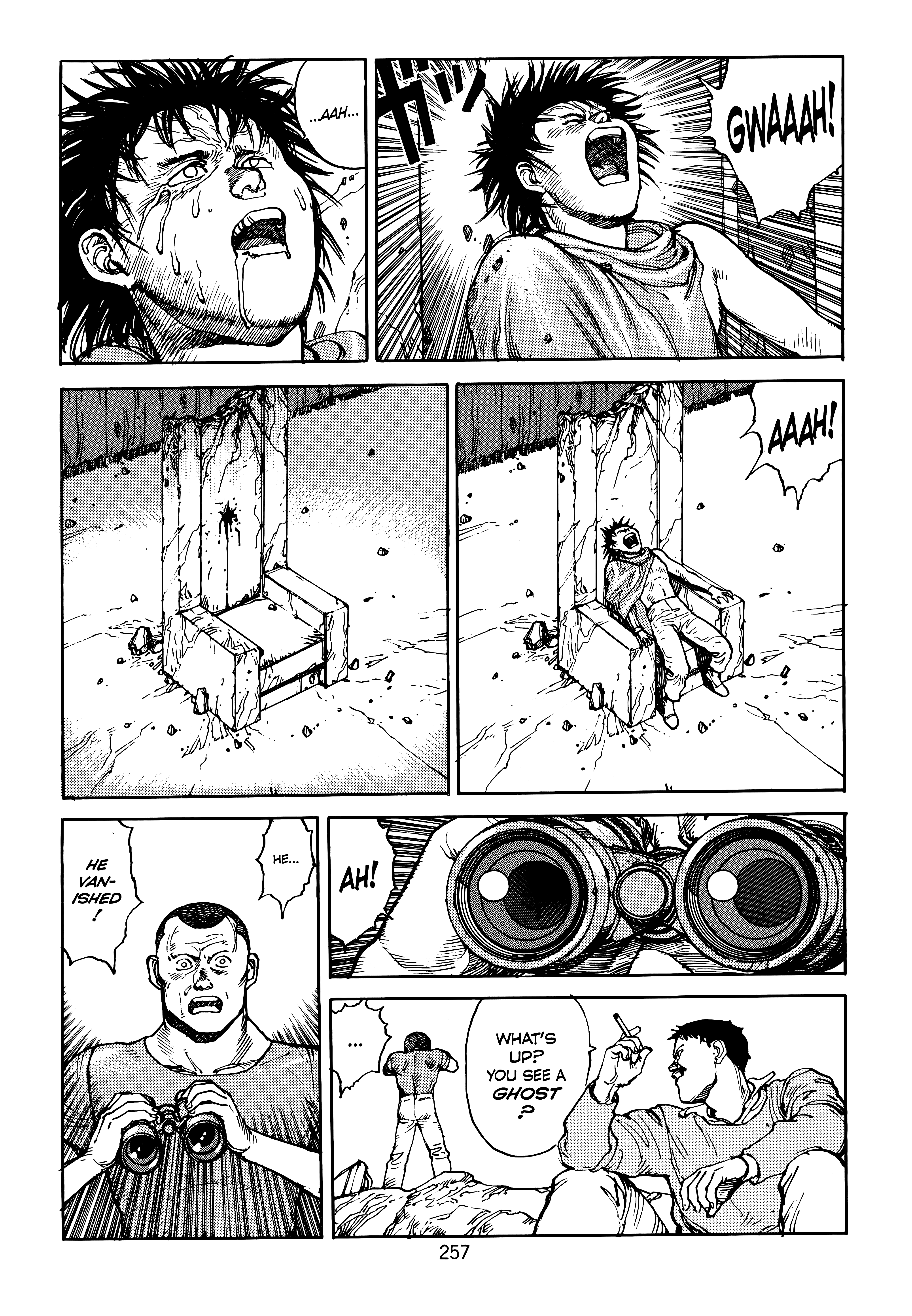 Page 258